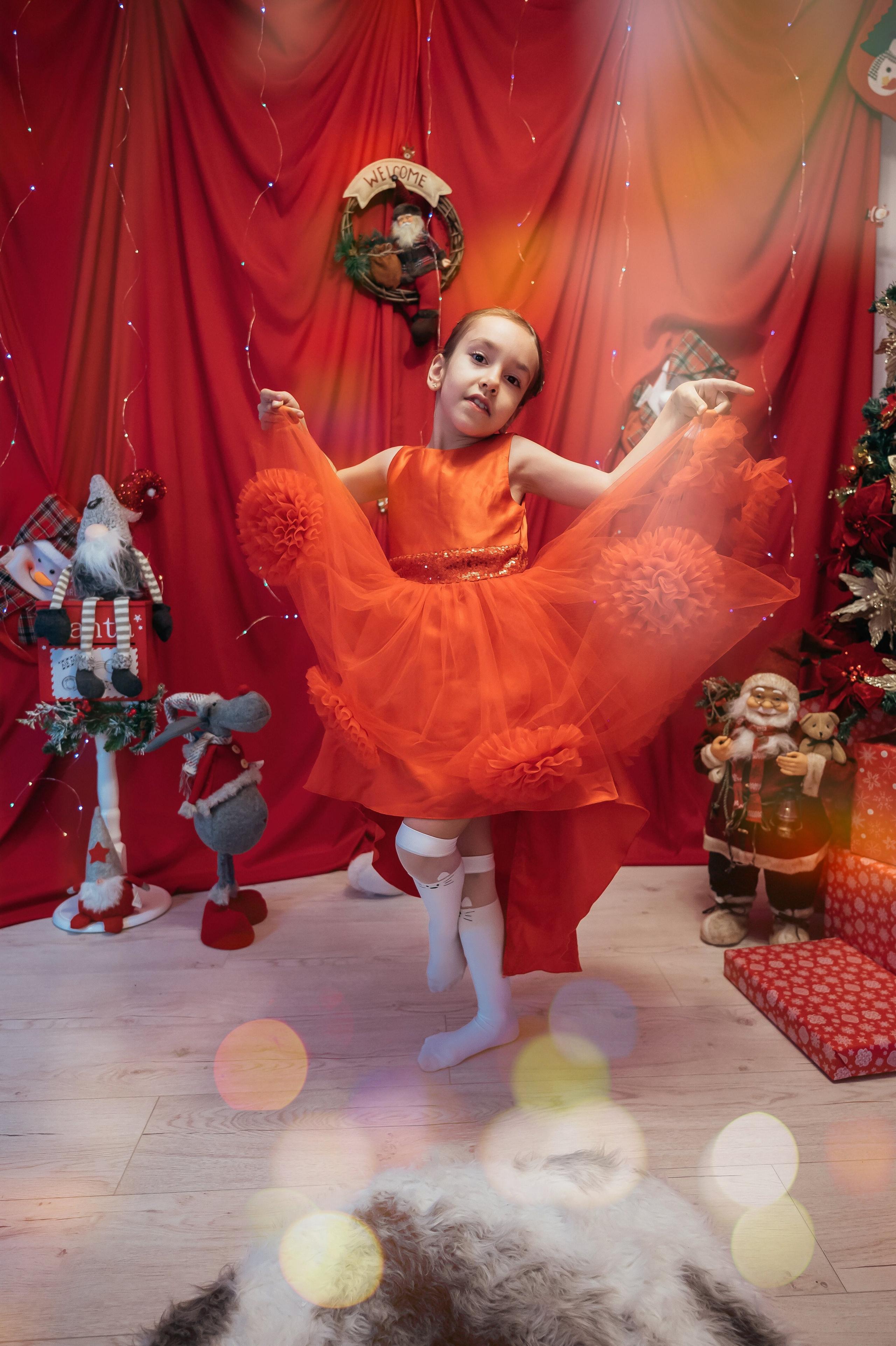 Sedinta Craciun Sofia