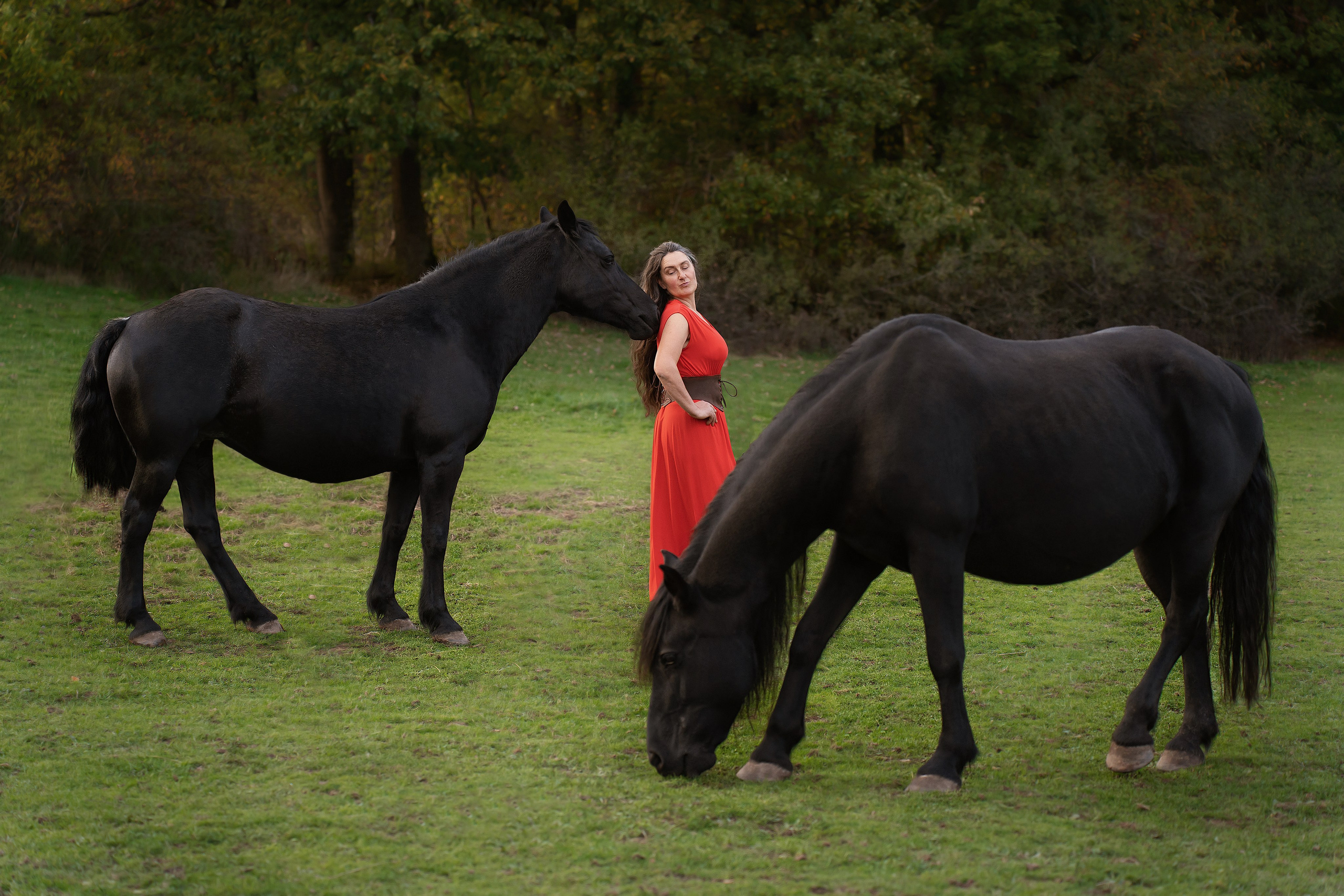 Geschichten mit dem Pferden. Kinder und Familienfotografie Wittlich und Trier Umgebung