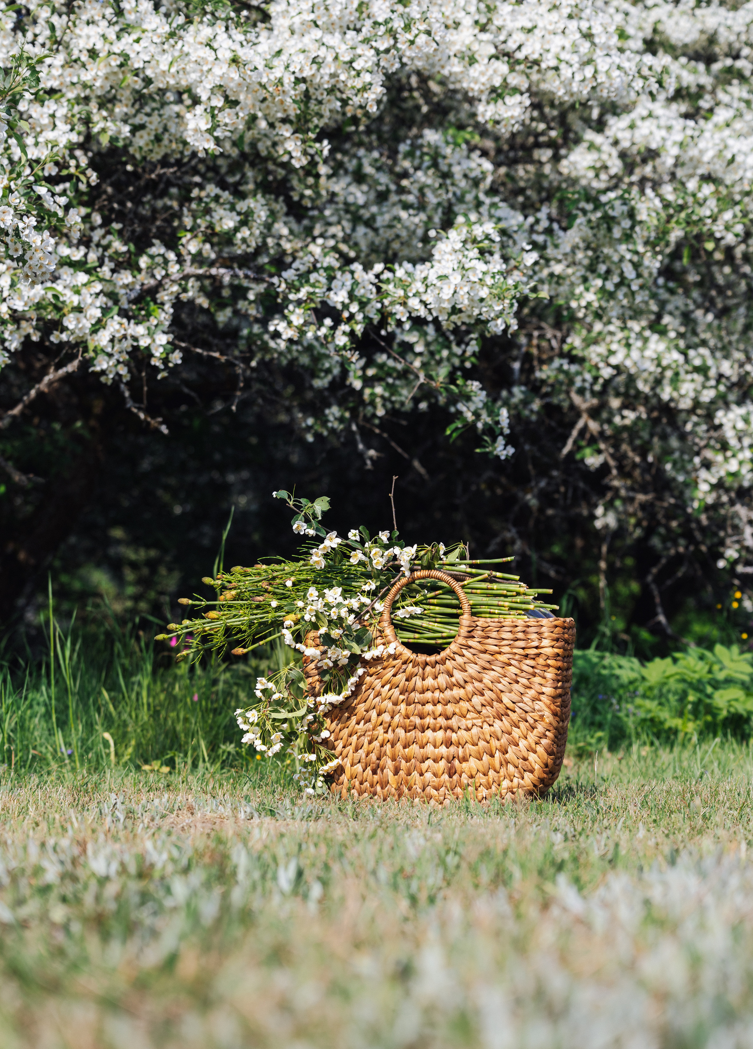 Woman and nature. Timeless Wedding & Event Photography — based London, working across Europe