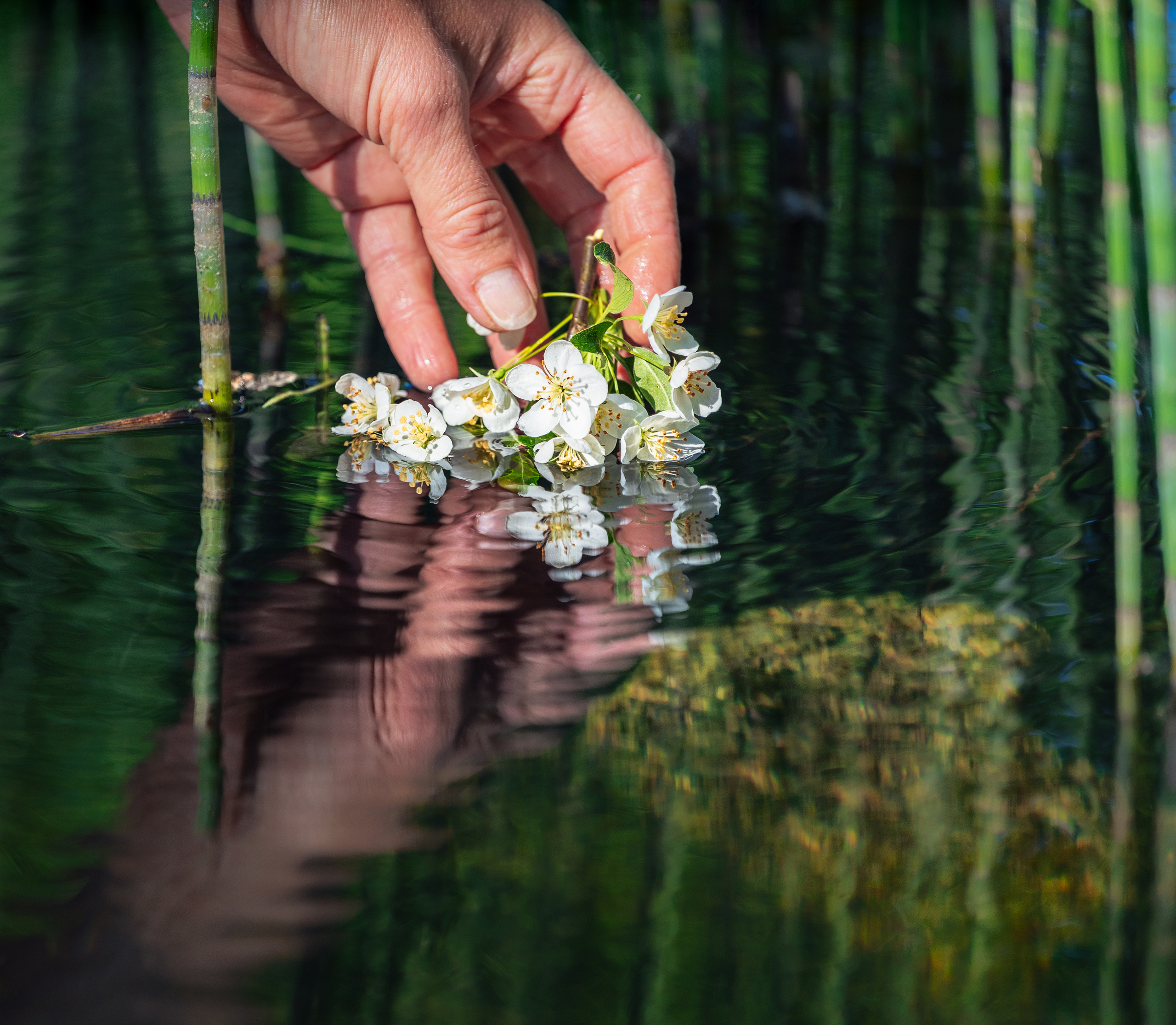 Woman and nature. Timeless Wedding & Event Photography — based London, working across Europe