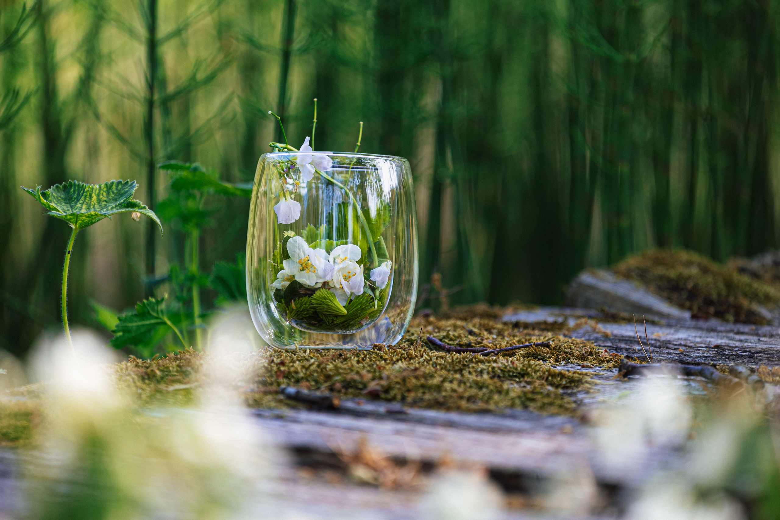 Woman and nature. Timeless Wedding & Event Photography — based London, working across Europe