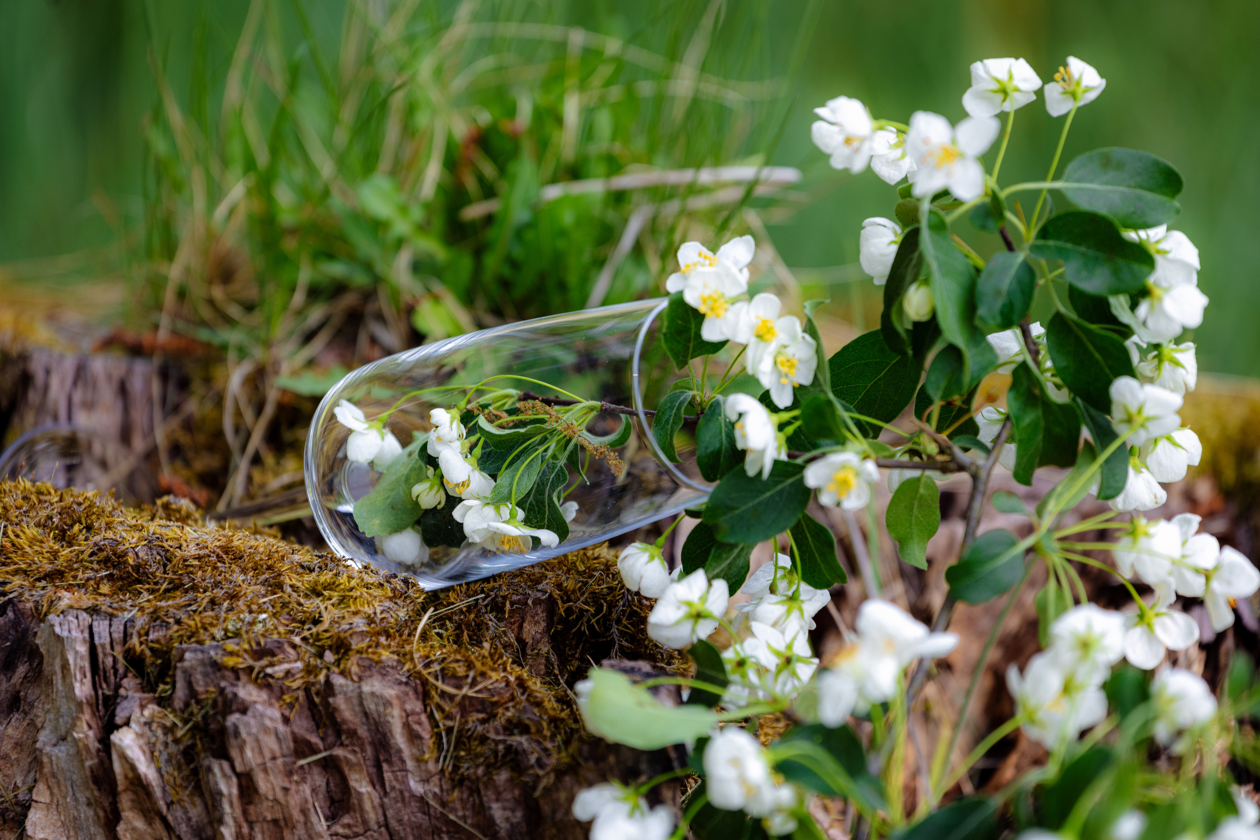 Woman and nature. Timeless Wedding & Event Photography — based London, working across Europe