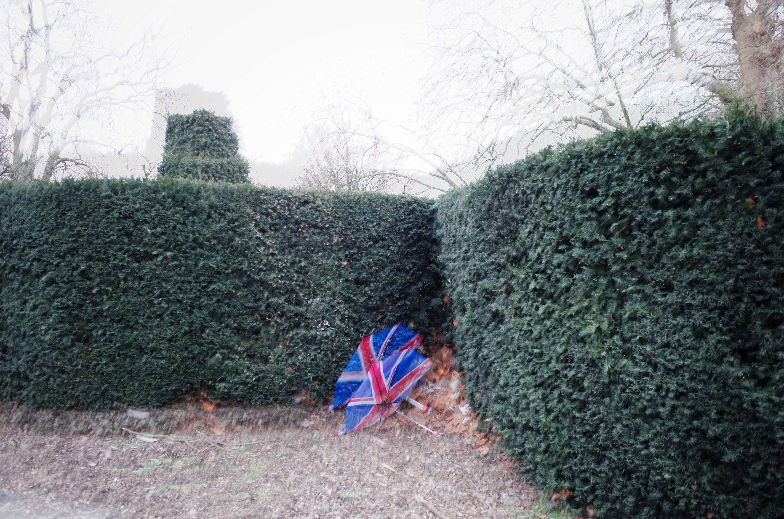 London L(ove) (ust) Letters. Виктория Дини. Арт-фотография