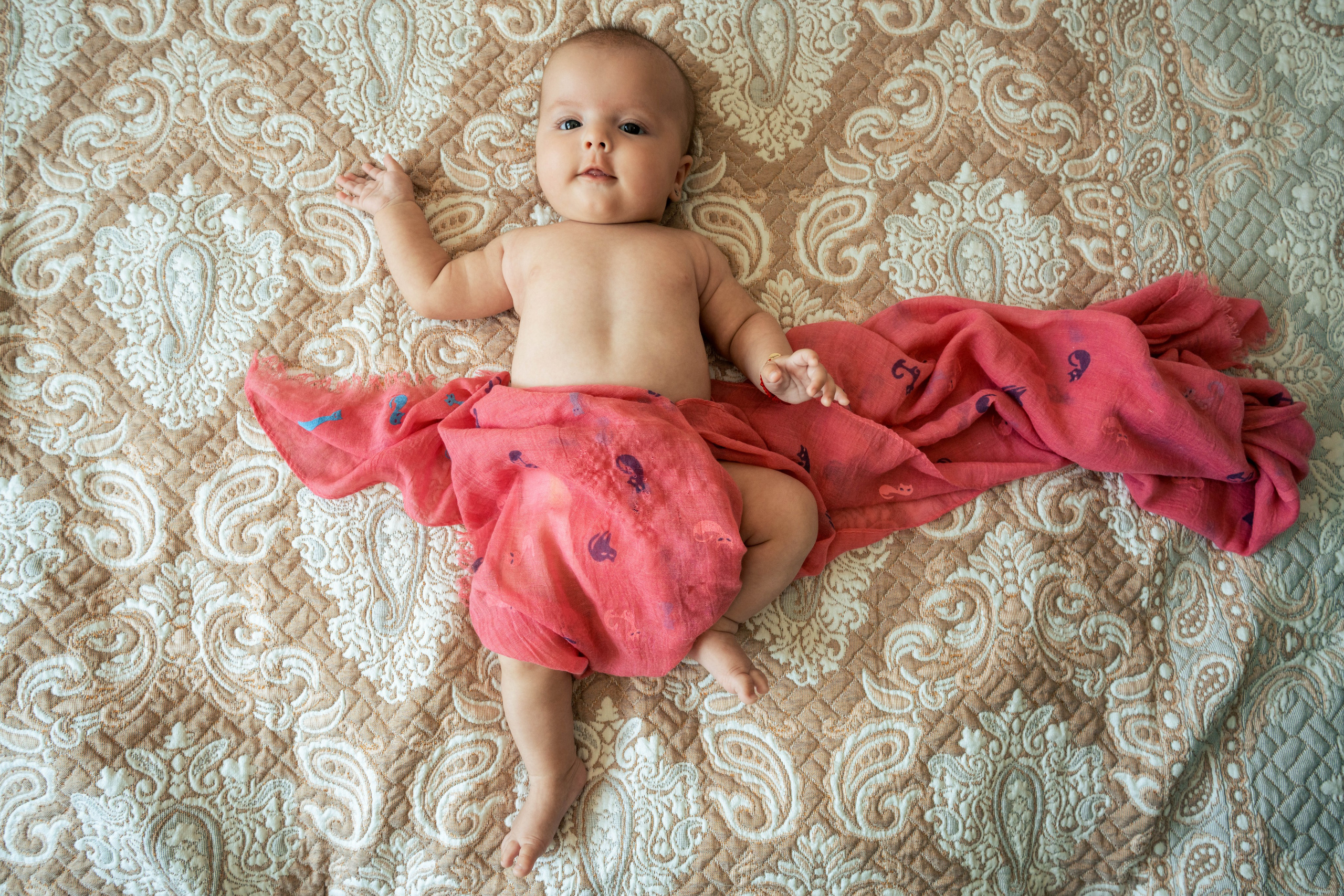 Cezara Maria. Fotograf nunta si evenimente Giurgiu