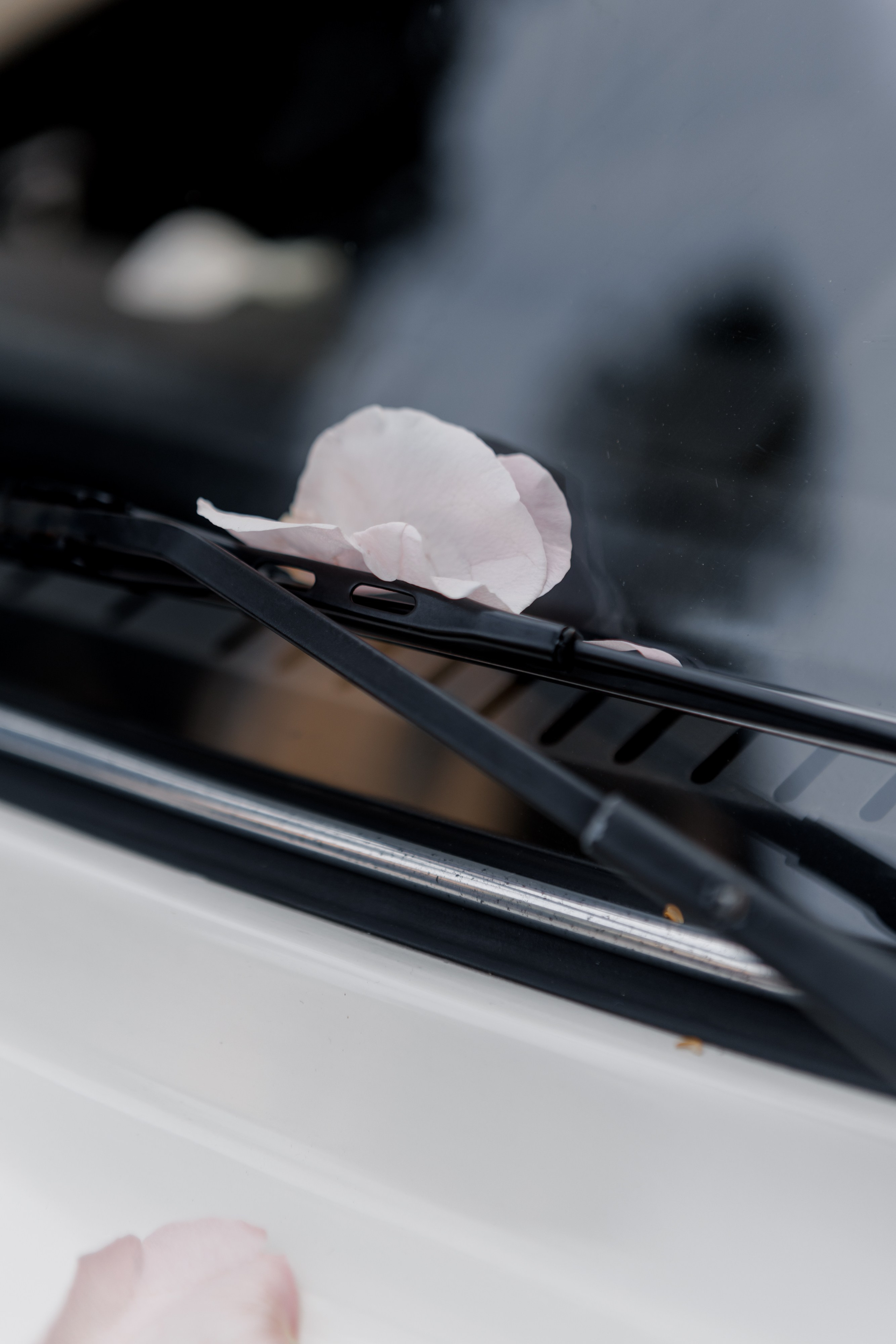 D & S — Lago Maggiore, Italy. Свадебный фотограф по всему миру из Мюнхена — Валерия Берк