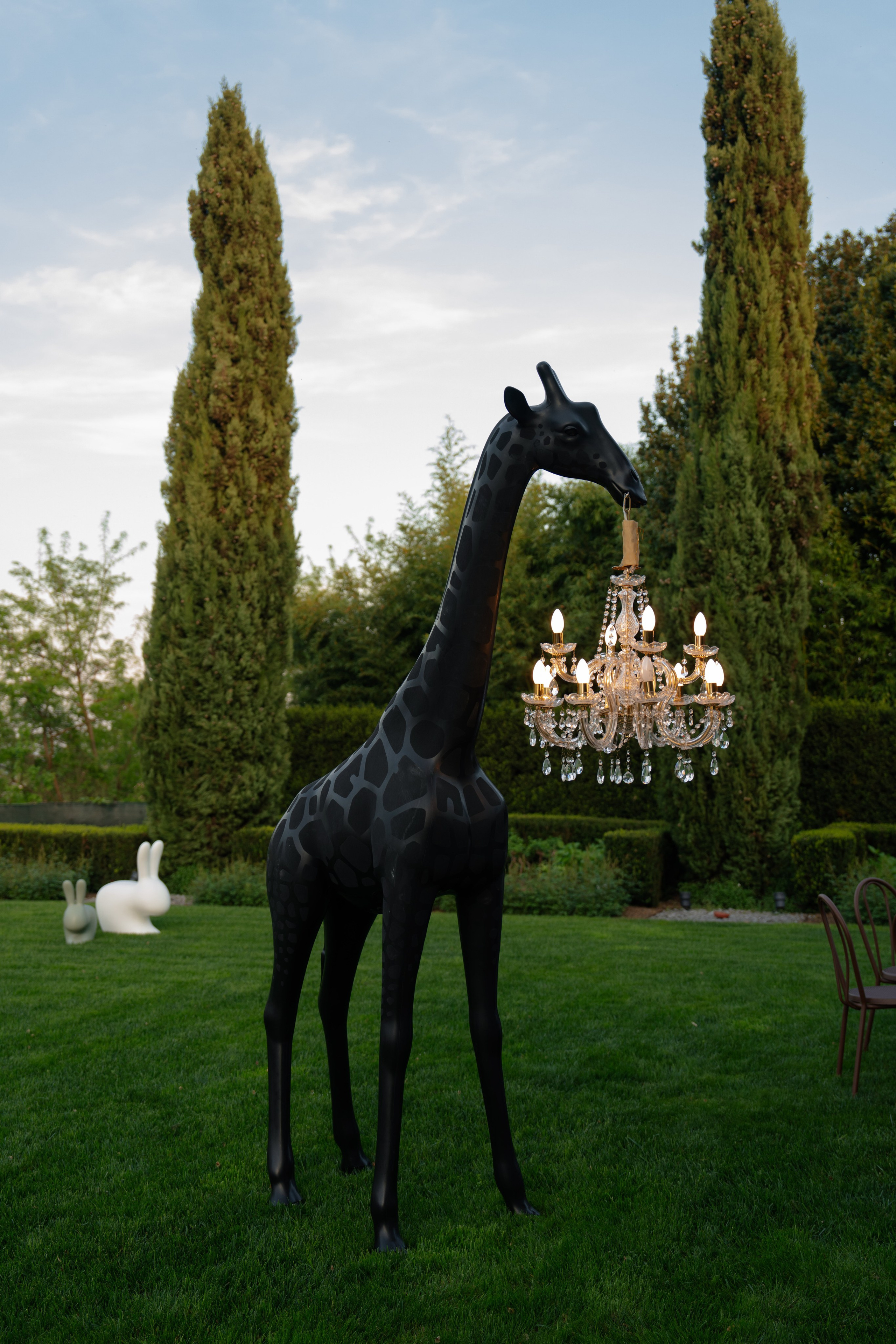 Portfolio. Ioana Timis