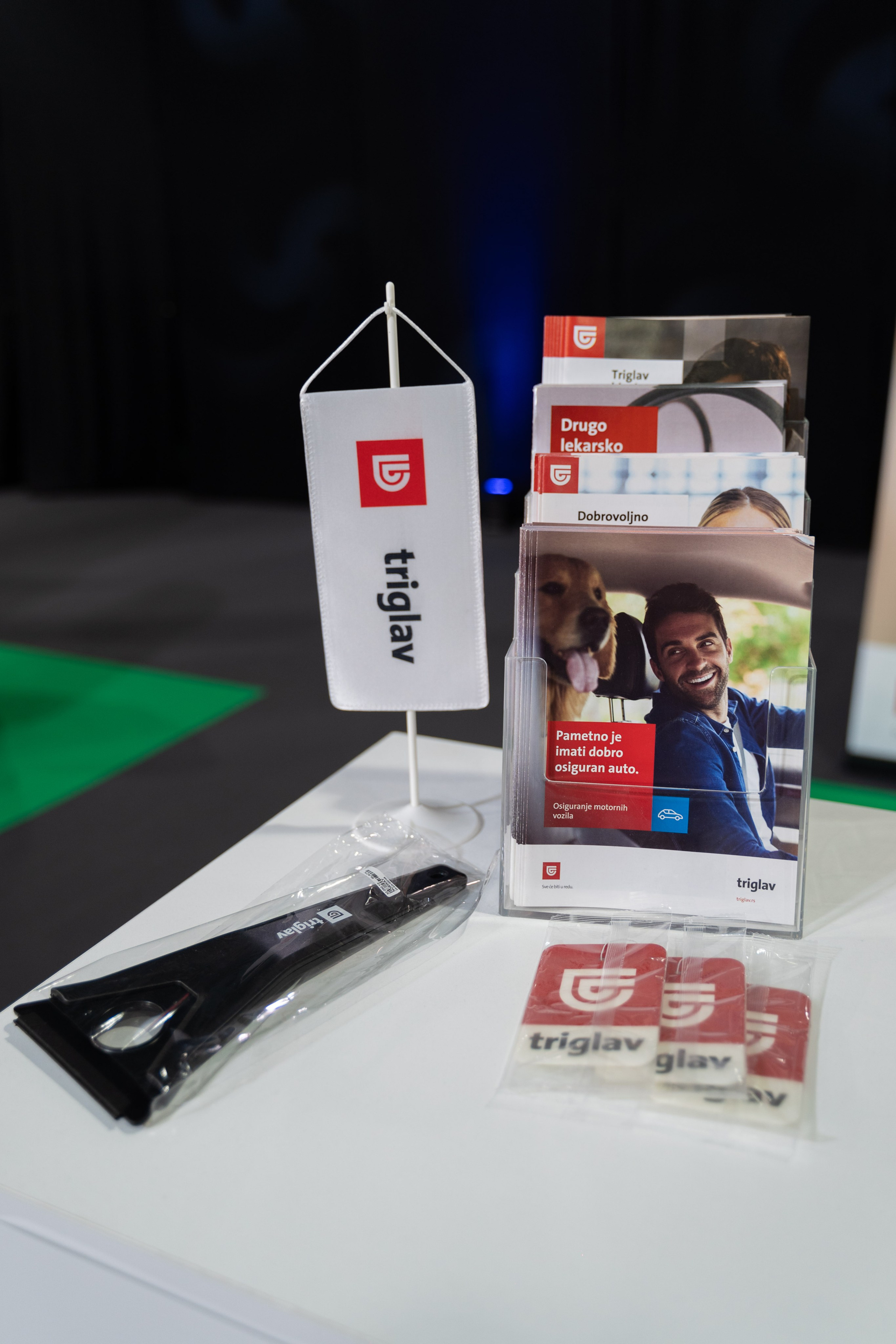 Electric Vehicles Days in Novi Sad 2024. Zhukov studio