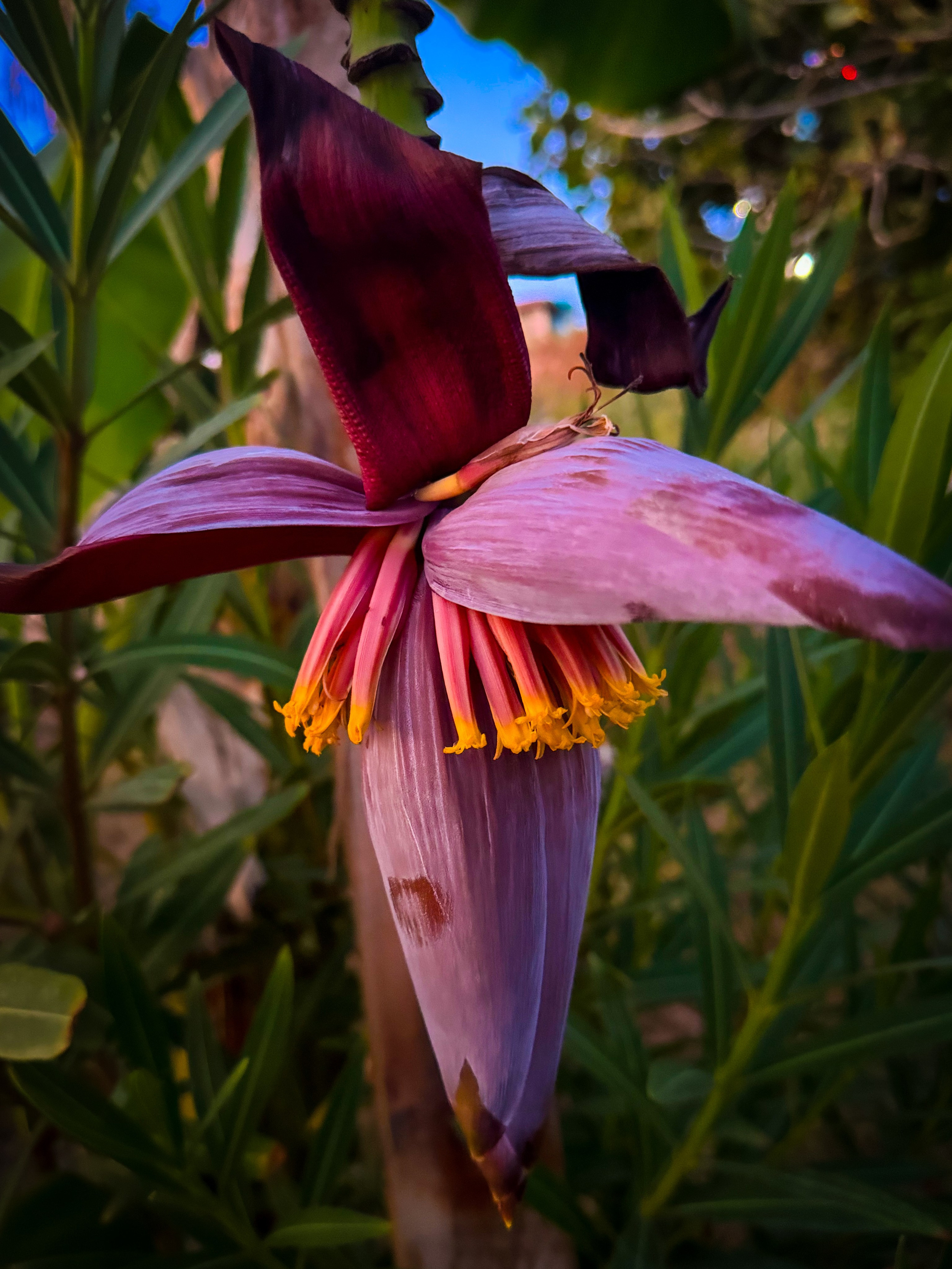 Ästhetik. Fotografin Kati Rebling