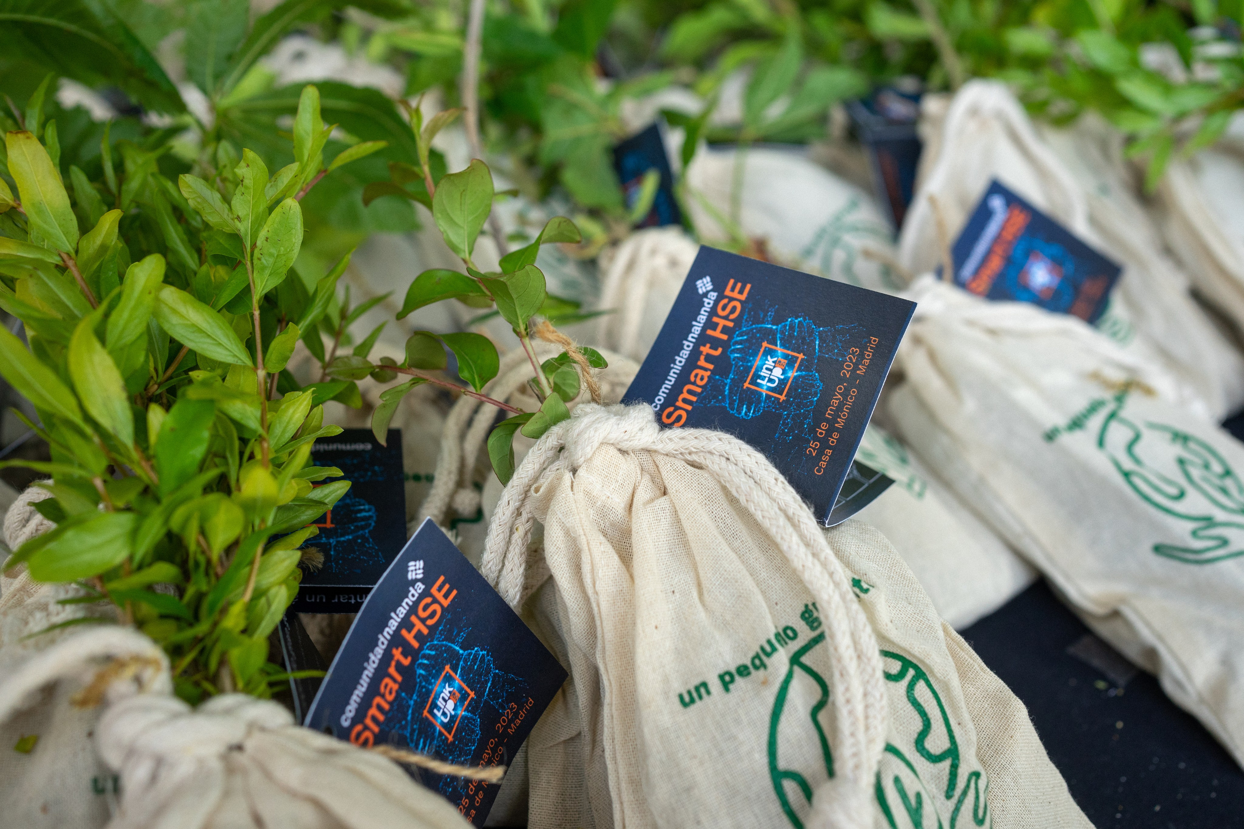 Nalanda. Smart HSE Link-Up. Женские портреты в Мадриде — естественная красота и свет | Anna Maruleva