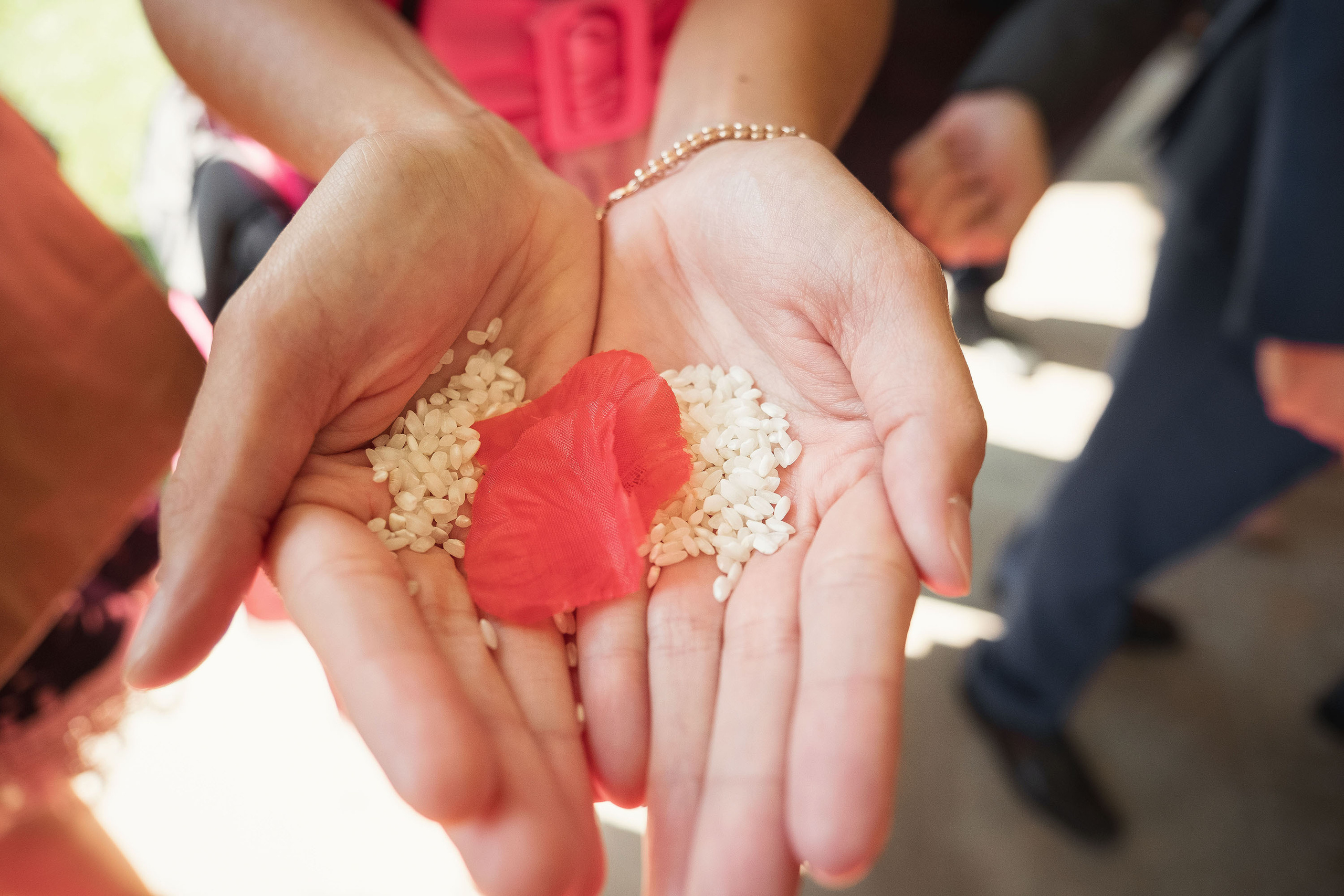 Sara & Ivan - Boda Restaurante El Cobertizo, Huesca. PIXLOVE - Fotógrafos de bodas Huesca Pirineos Zaragoza