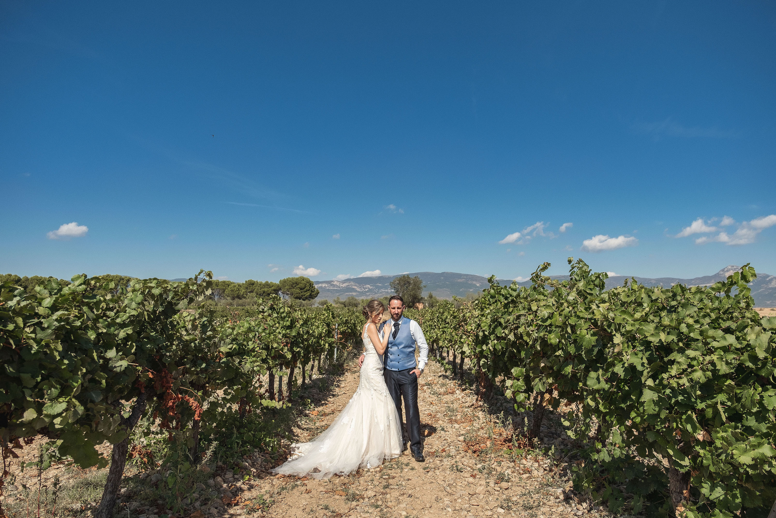 Boda Campos de viñedos