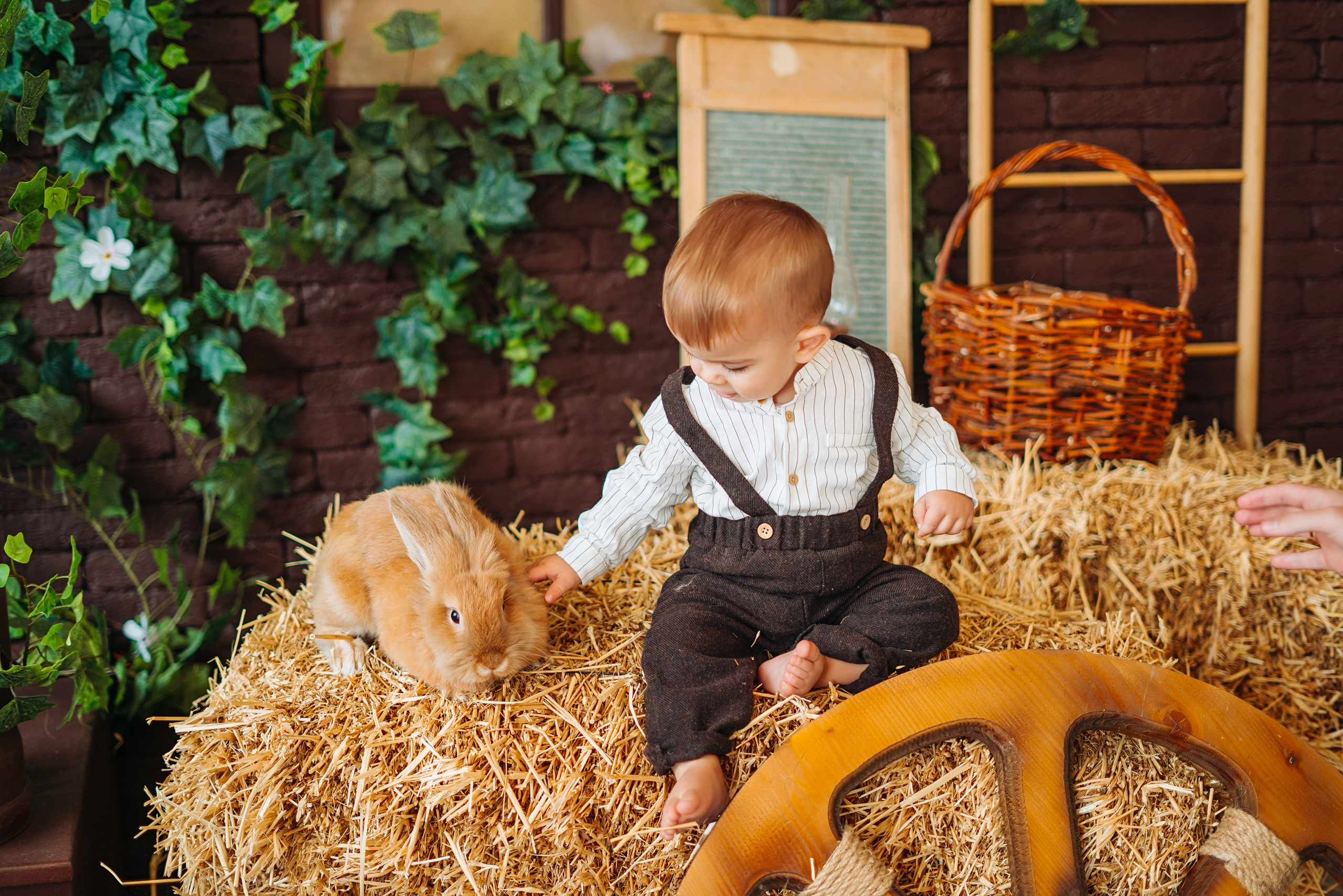 Andrei. Diana Muntean Photography