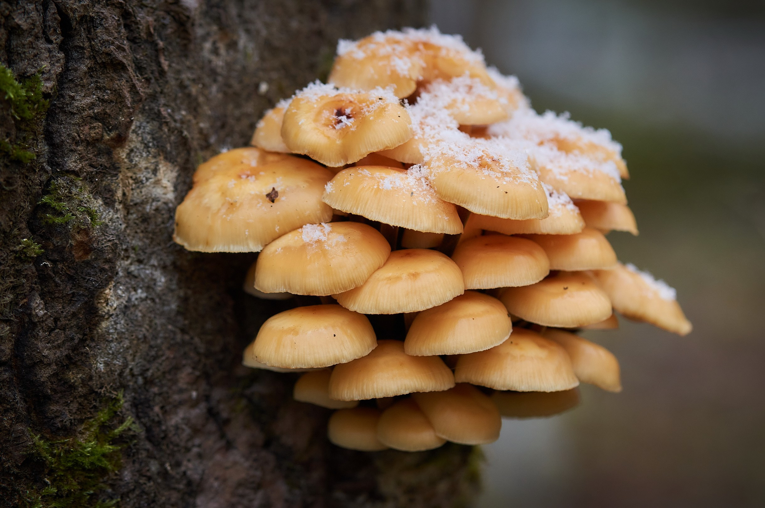 Close-Up. Yuri Popkov | Photographer