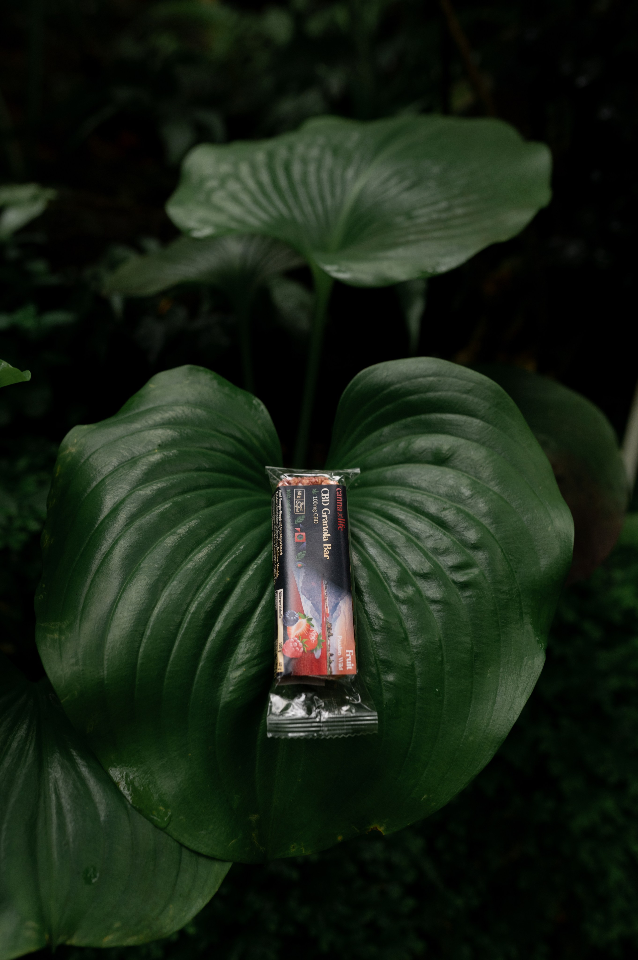 CannaXlife CBD products. ANNA-MARIA PHOTO CONTENT CREATOR — фотограф, естет, художник і візуальний експерт Instagram у Празі