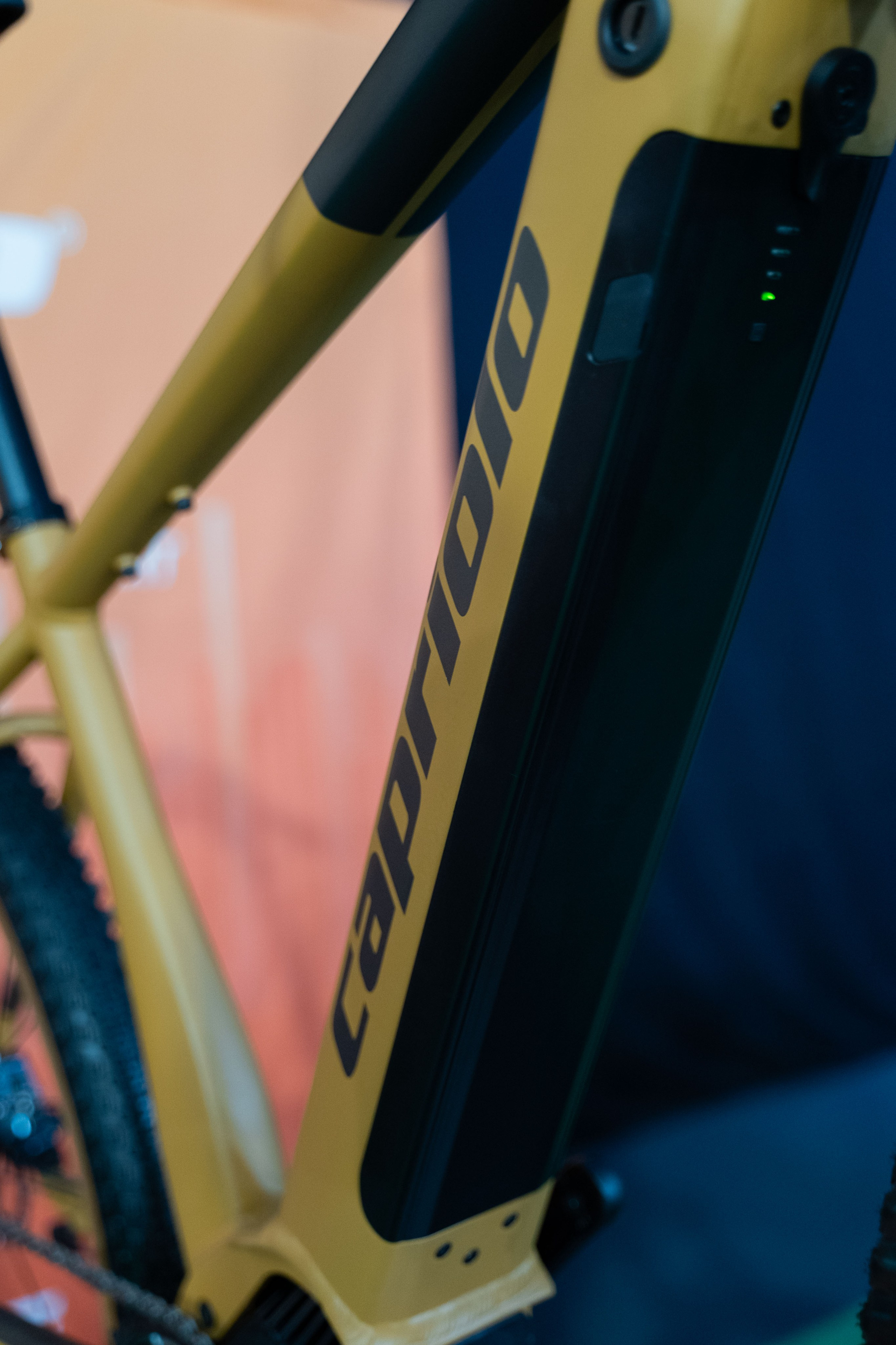 Electric Vehicles Days in Novi Sad 2024. Zhukov studio