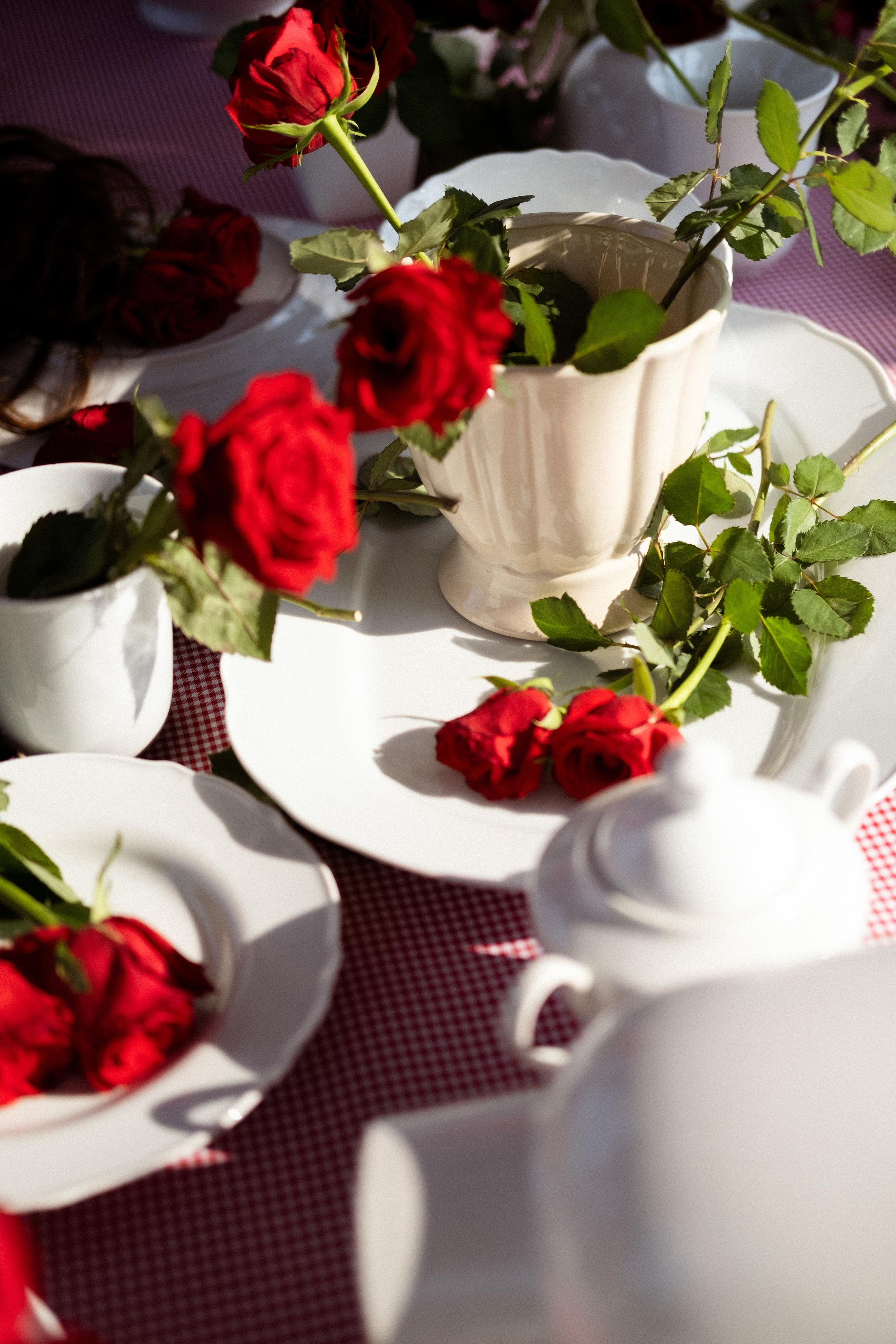 D&n. Wedding photography and videography in Regina, Saskatchewan