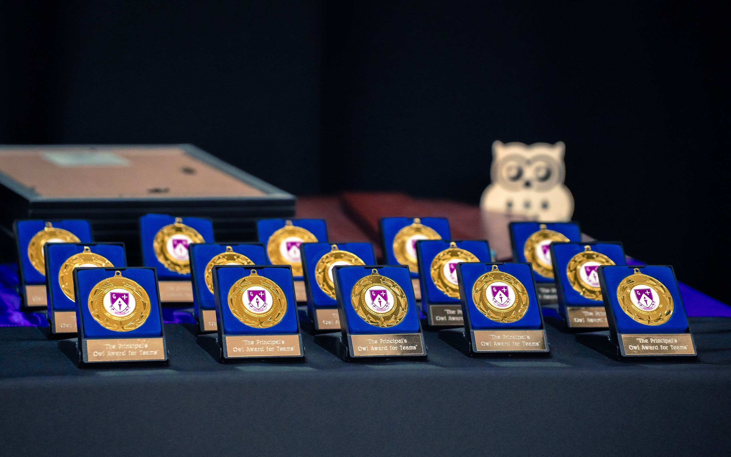 The Owl Society. Expect Miracles Photography by Kate & Andrew