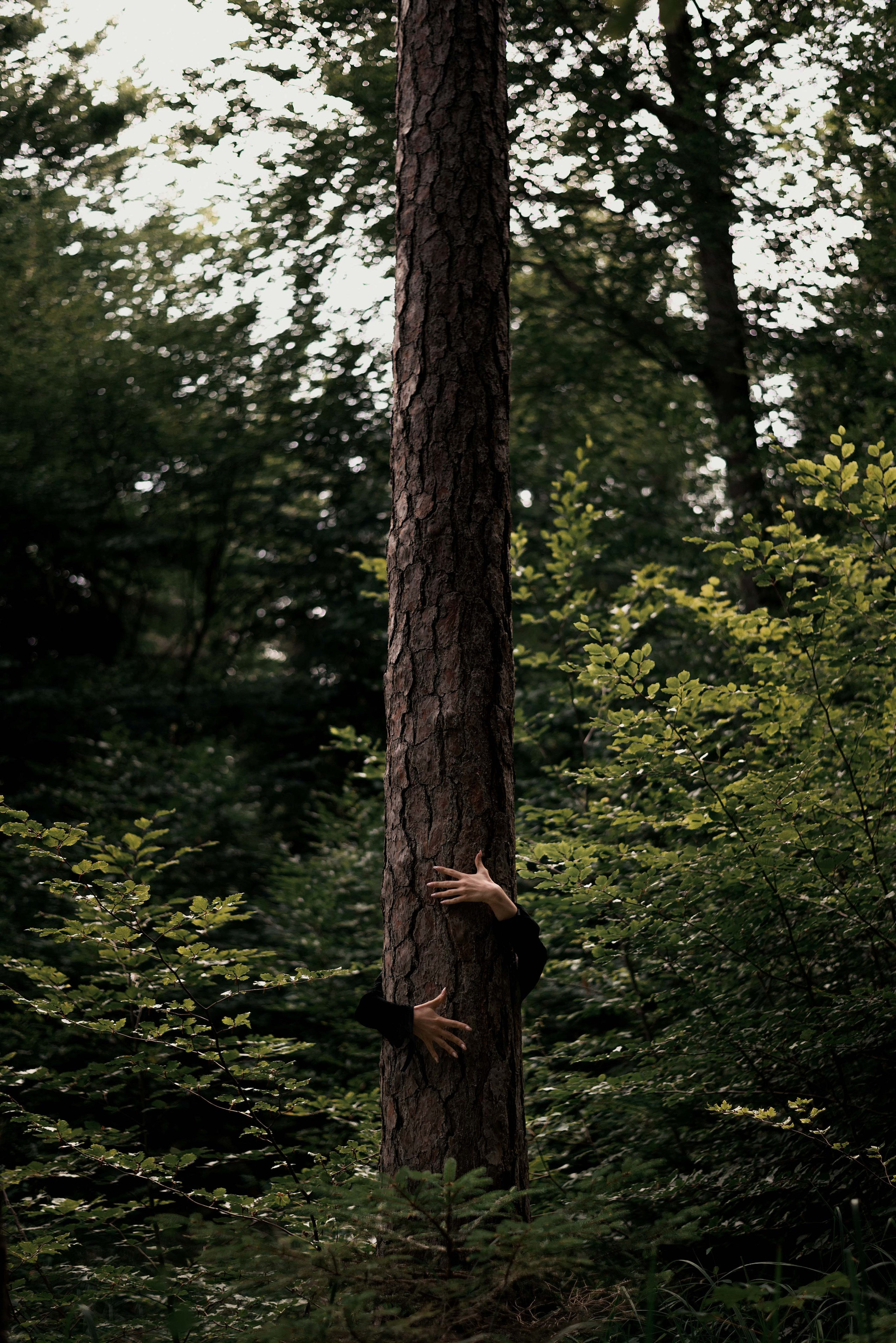 Tief im Inneren. Frauen- und Familienfotografin in München und Augsburg