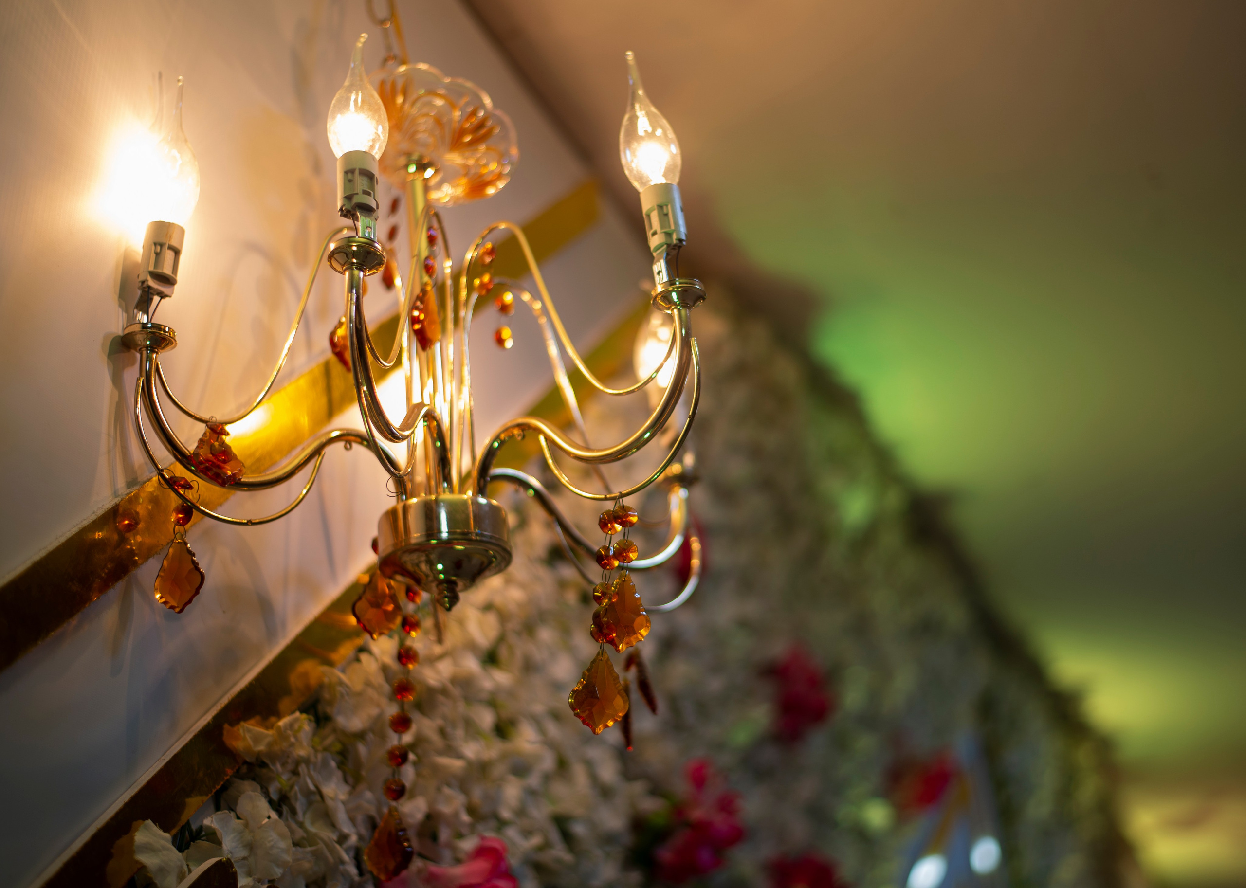 CeeBee01 Events. Portrait & Brand Photographer in Bradford, West Yorkshire