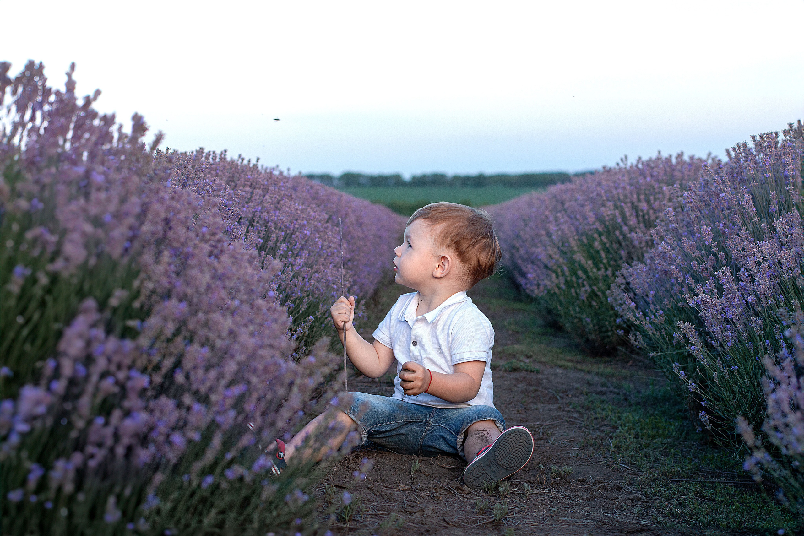 Лаванда. Детский и семейный фотограф в г. Бельцы