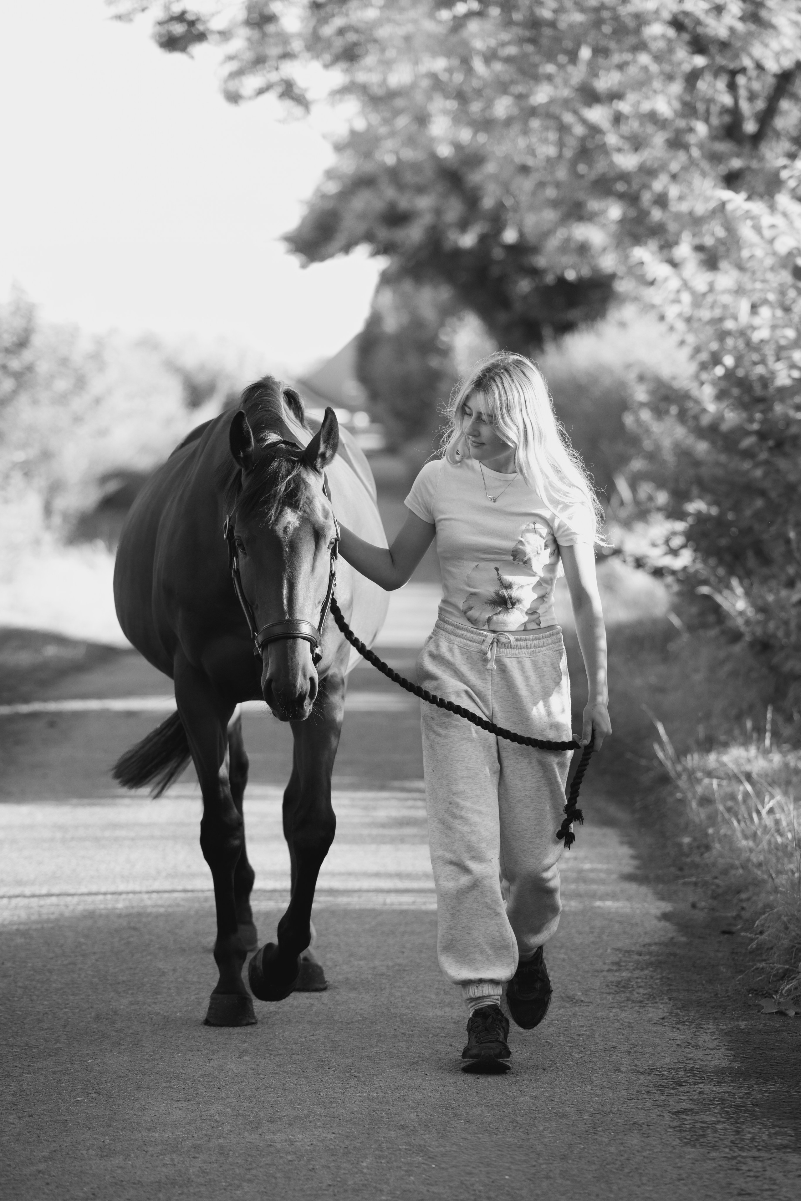 Equine Photography Portfolio | Leicestershire Horse Portrait Photographer. Leicestershire Equine Photography by El | Authentic Equine Portraits & Events