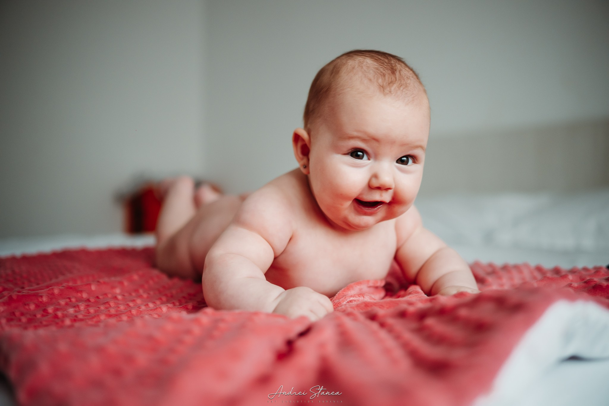 Zenayda. Andrei Stanea