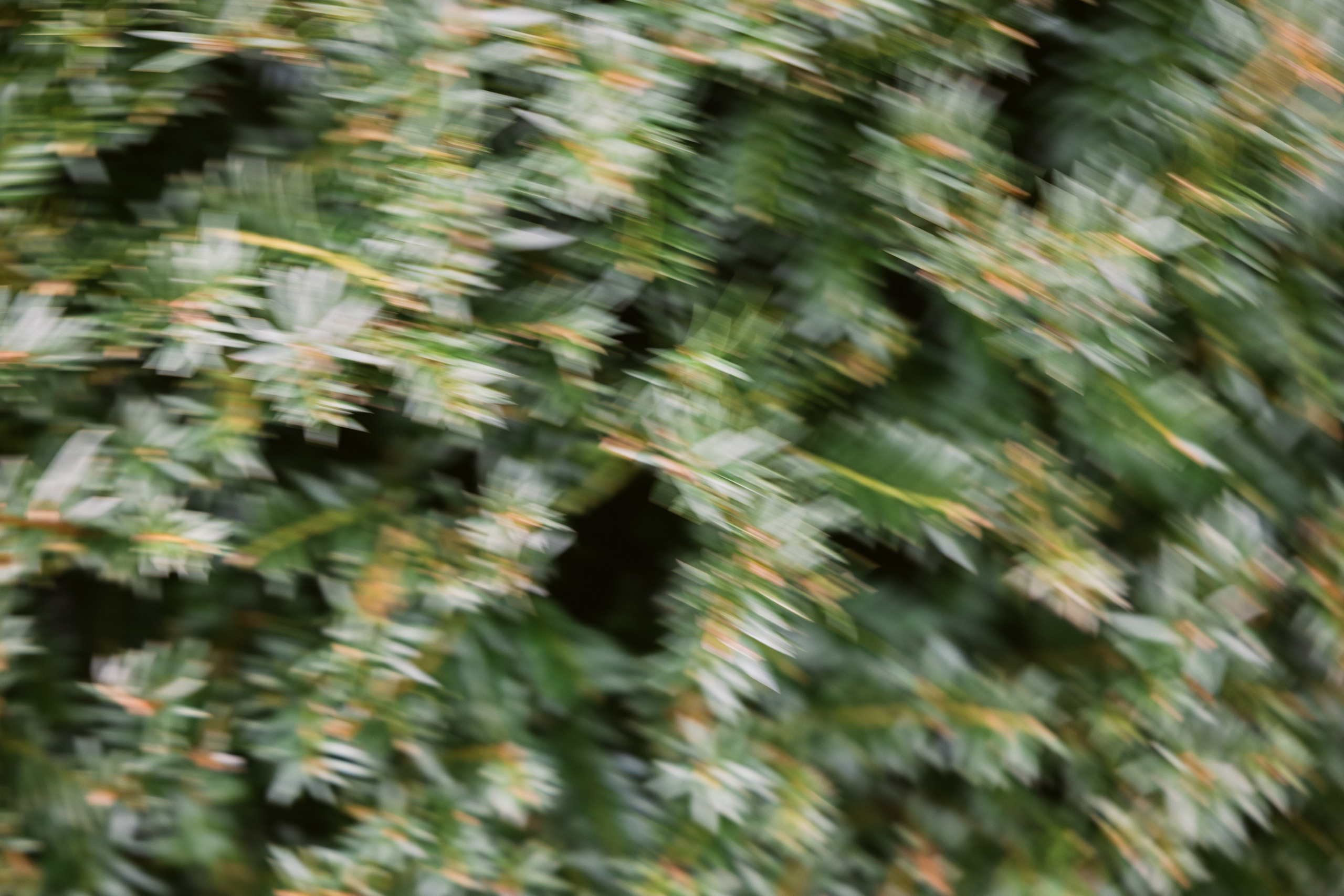 Hedsor House editorial. Timeless Wedding & Event Photography — based London, working across Europe