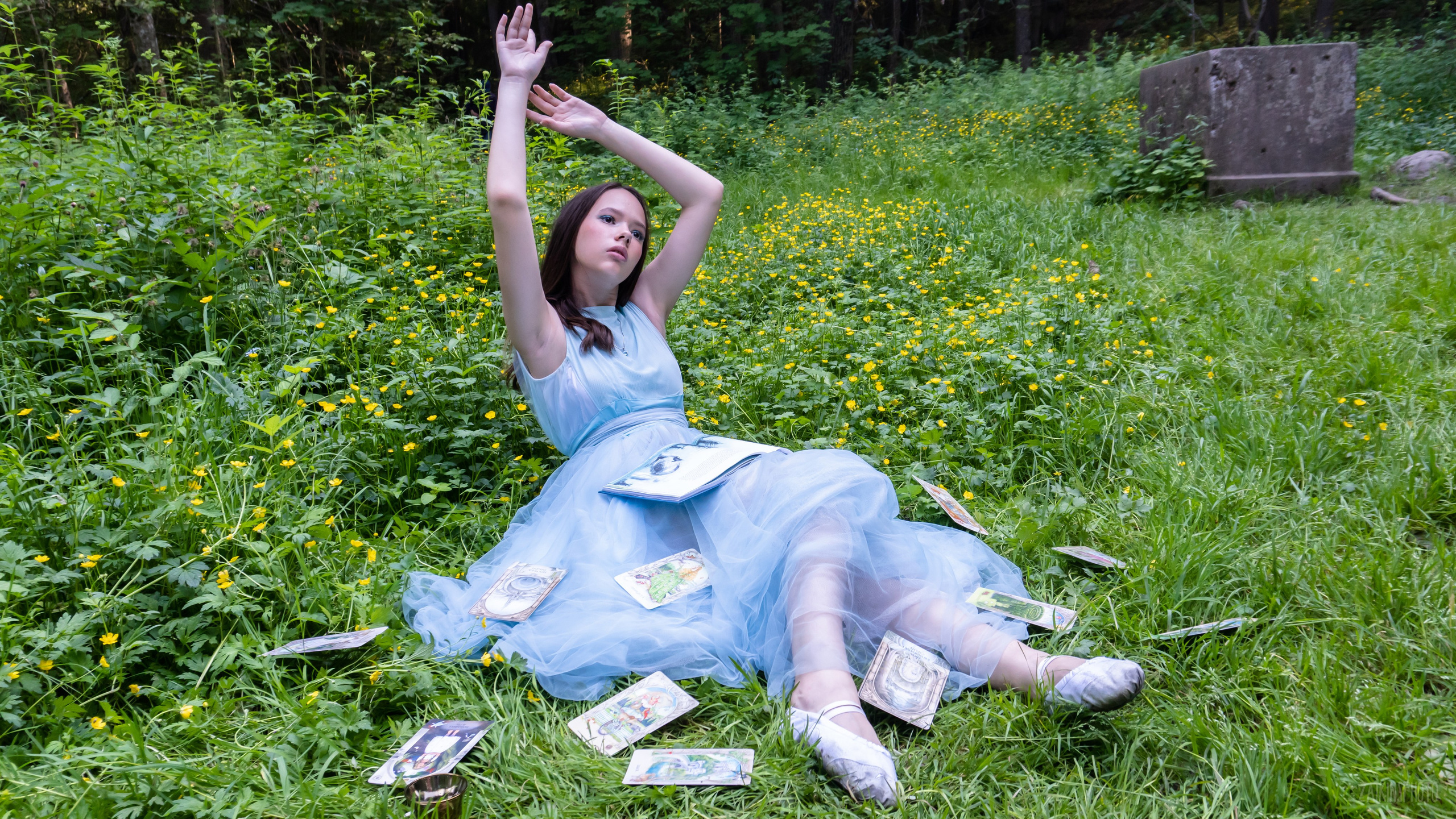 Alice In Wonderland. Main