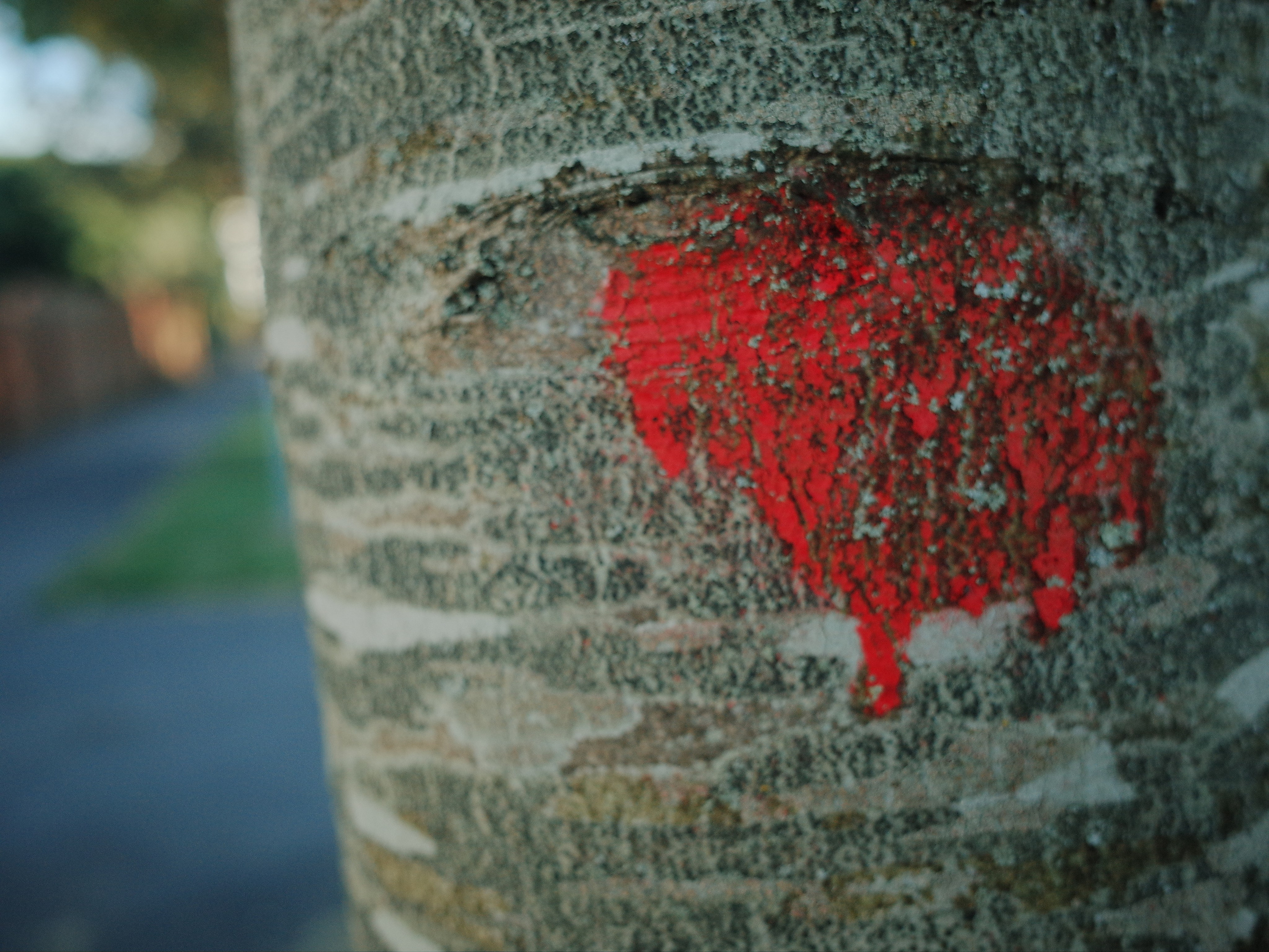 Angry walk of not belonging. Victoria Dini. Art photography in London / Folkestone, UK