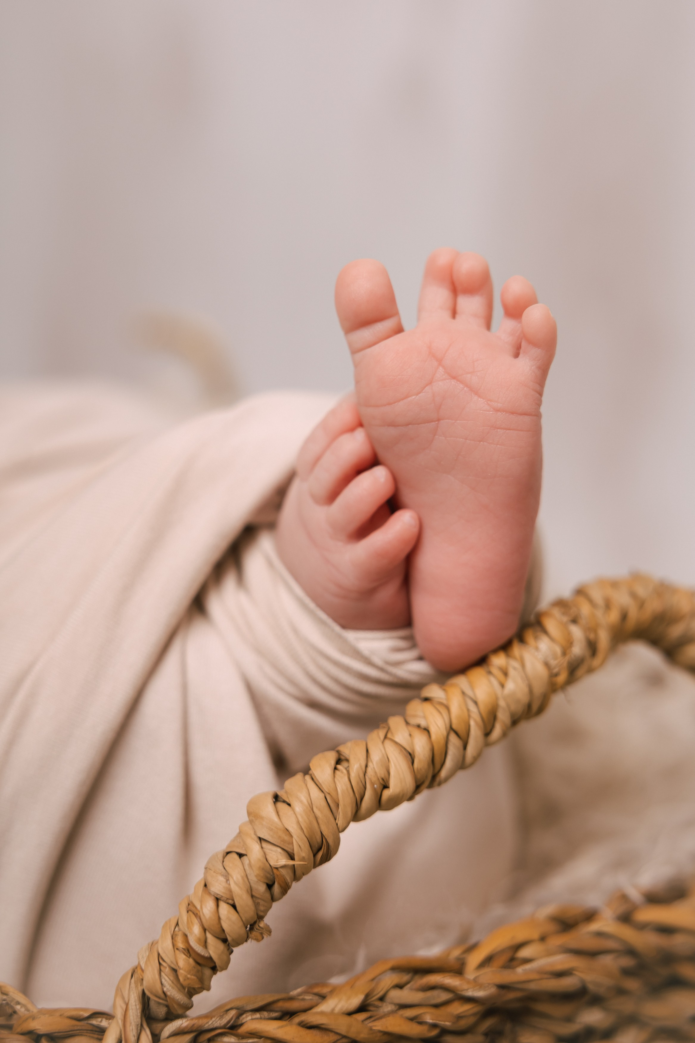 newborn fotograf Strakonice