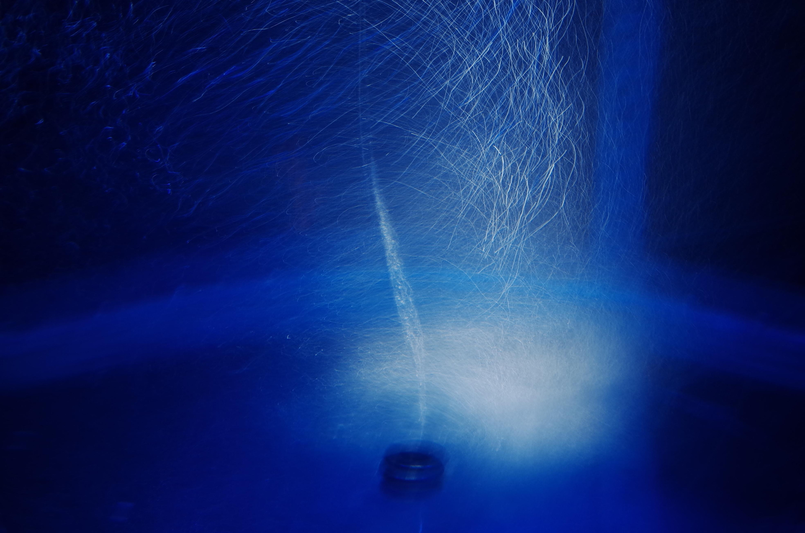 Victoria Dini. Art photography in London / Folkestone, UK