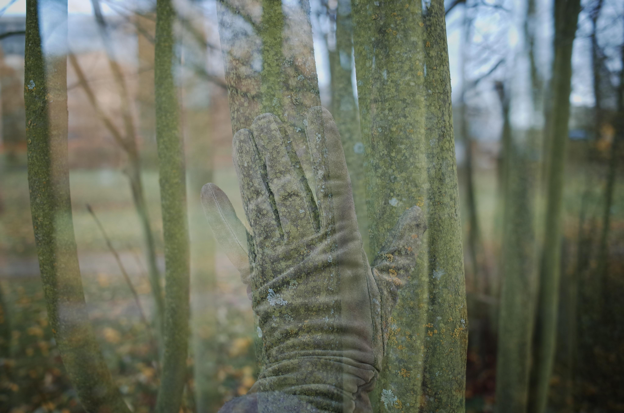 Victoria Dini. Art photography in London / Folkestone, UK