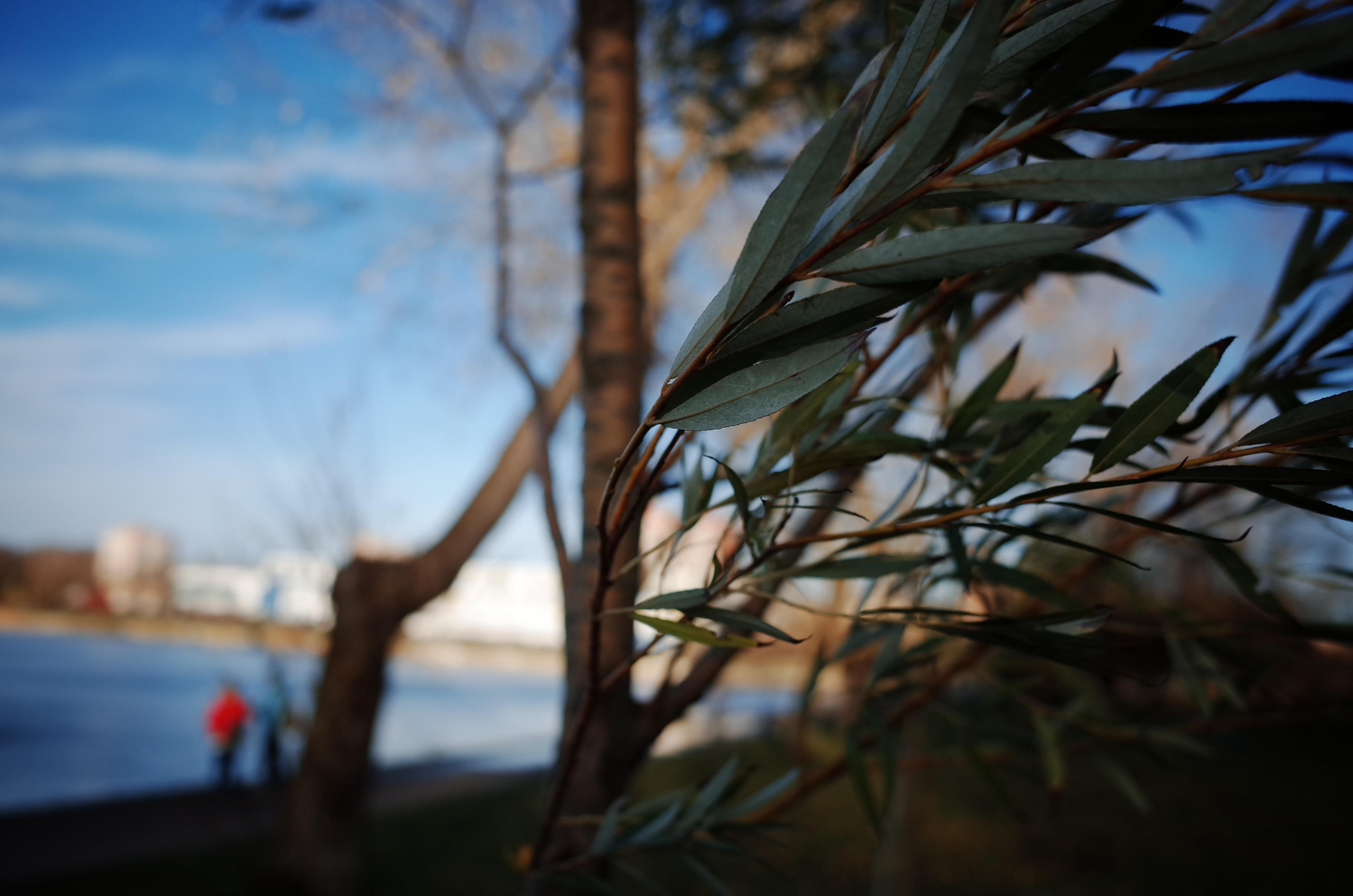 Victoria Dini. Art photography in London / Folkestone, UK