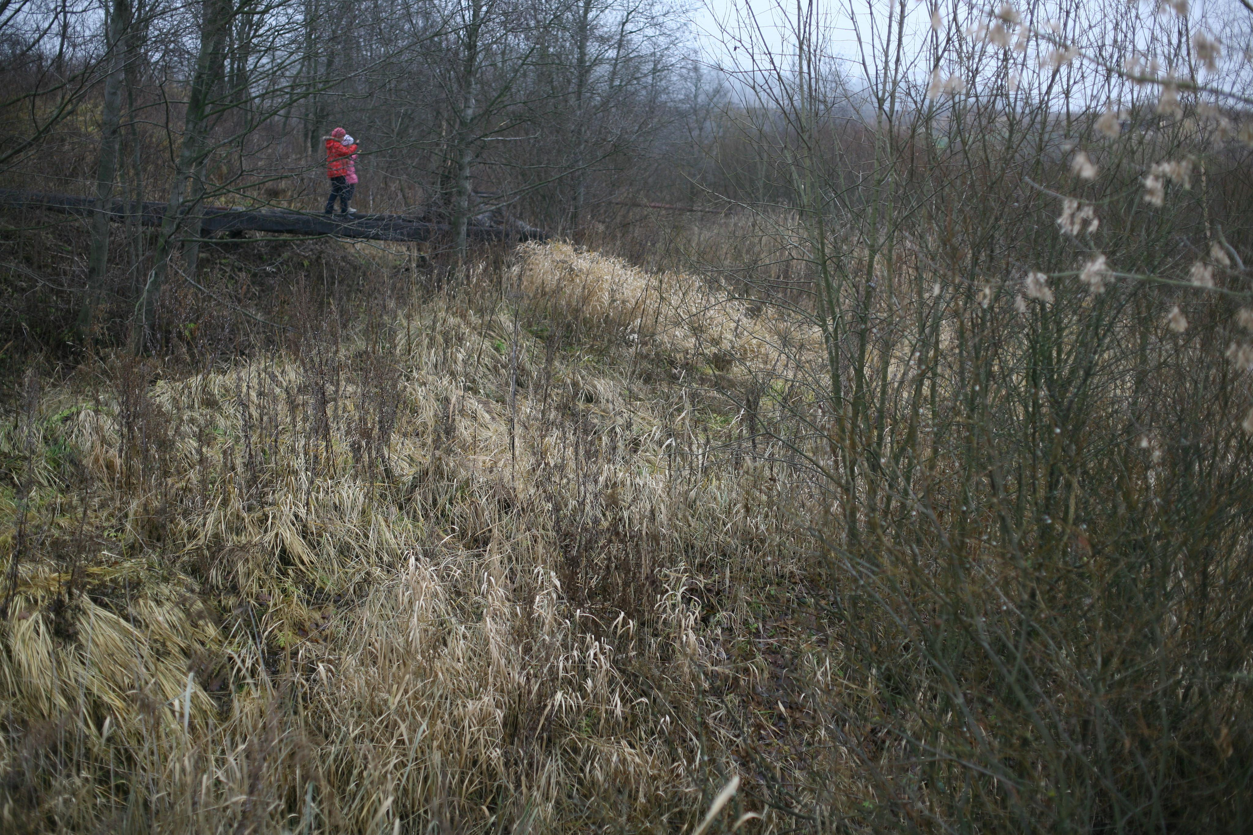 Victoria Dini. Art photography in London / Folkestone, UK