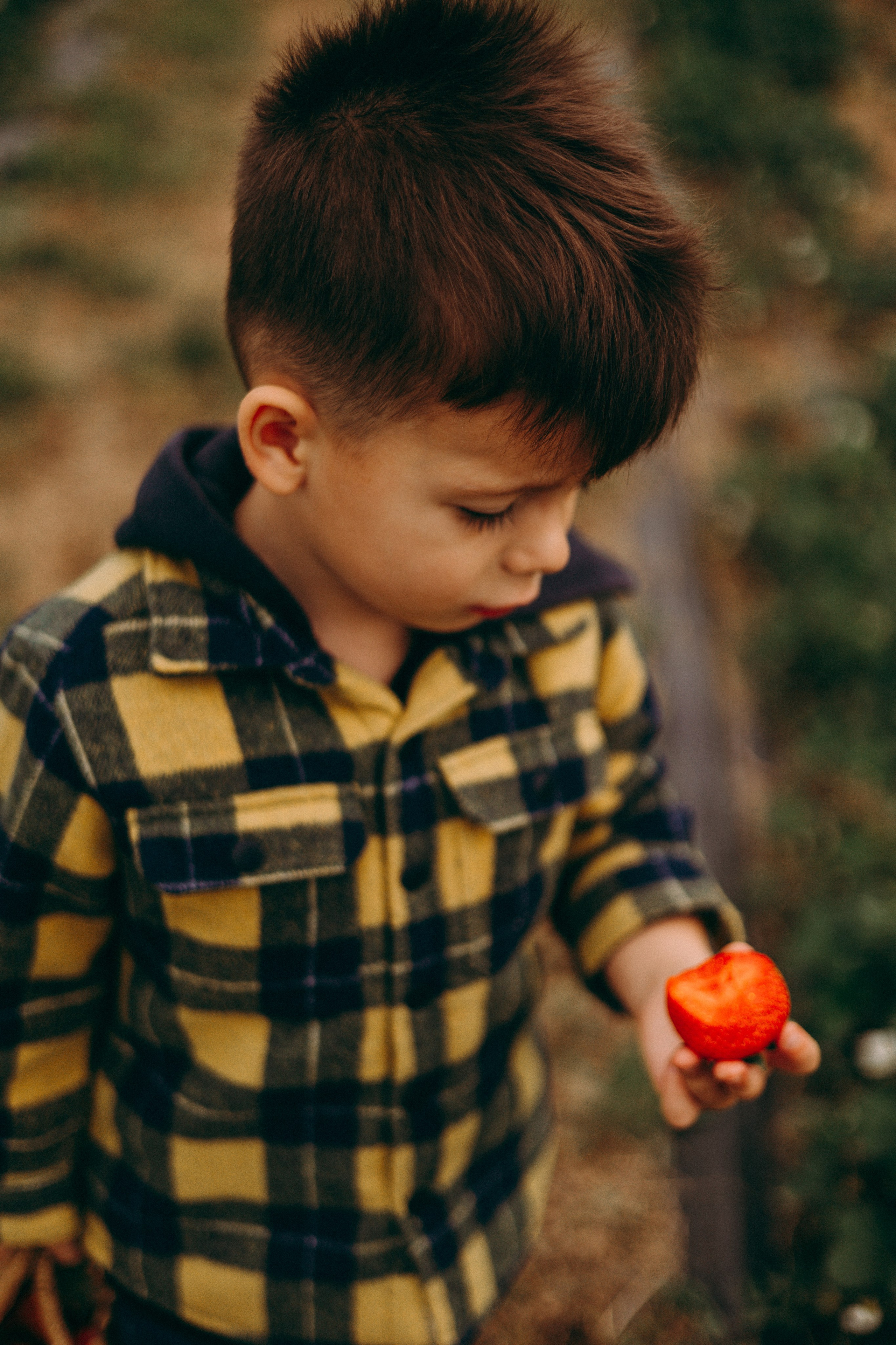 Cueilette fraise. Photographe en Côte d’Azur