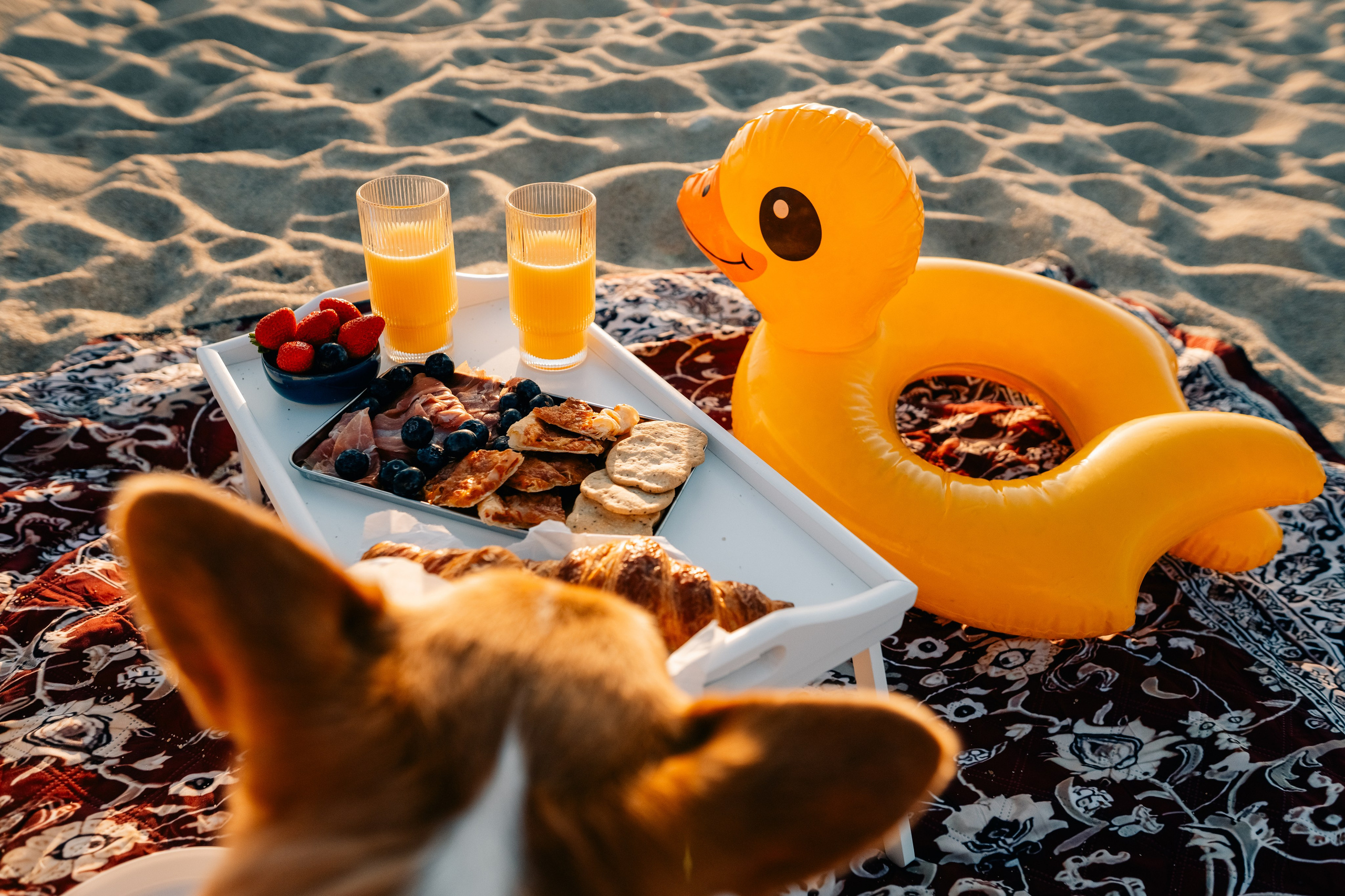 Anya & Dima. Maria Sher. Fotógrafa profissional do Porto, Portugal