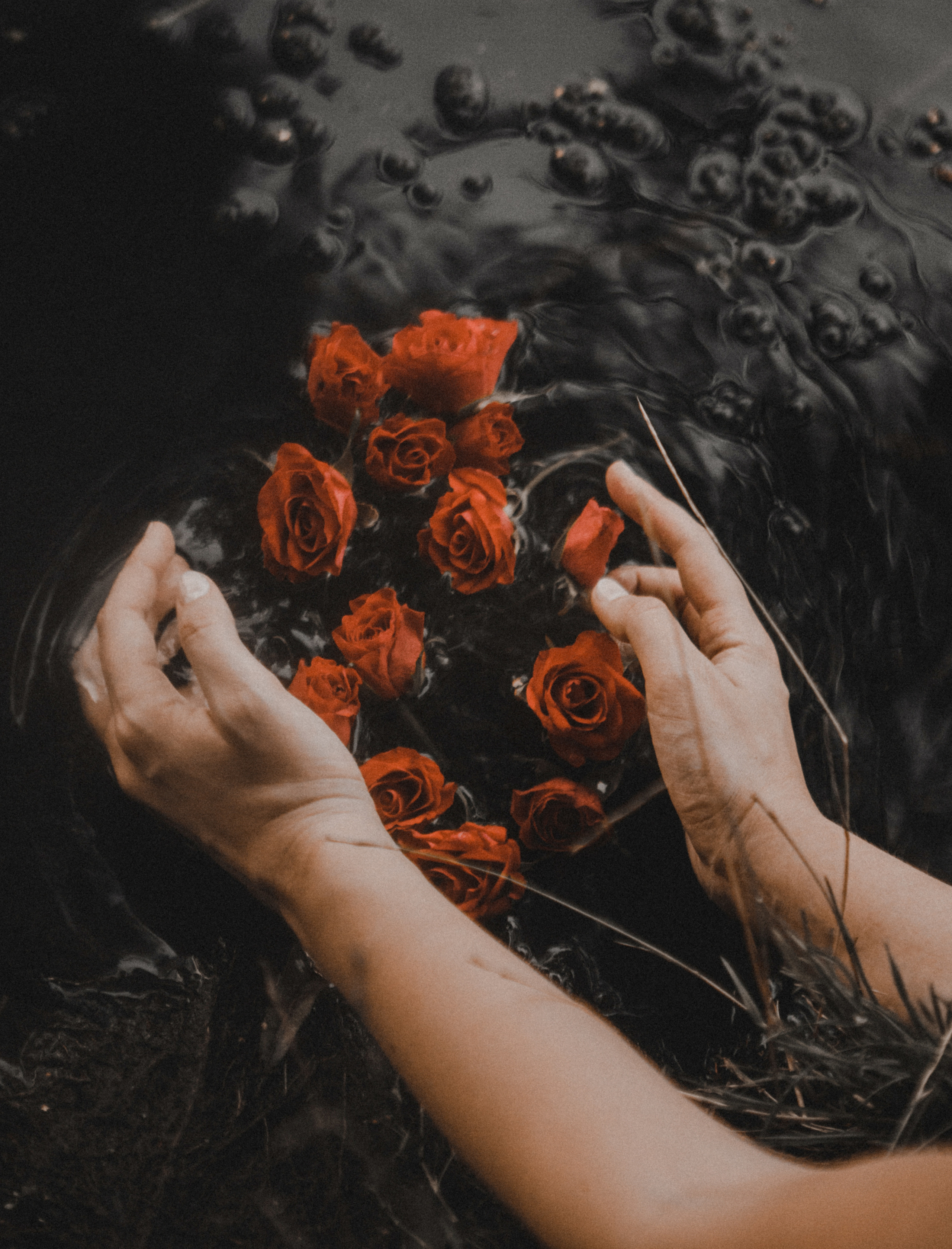 Alive. Fotograf Warszawa, Fotograf ślubny, Фотограф свадебный Варшава