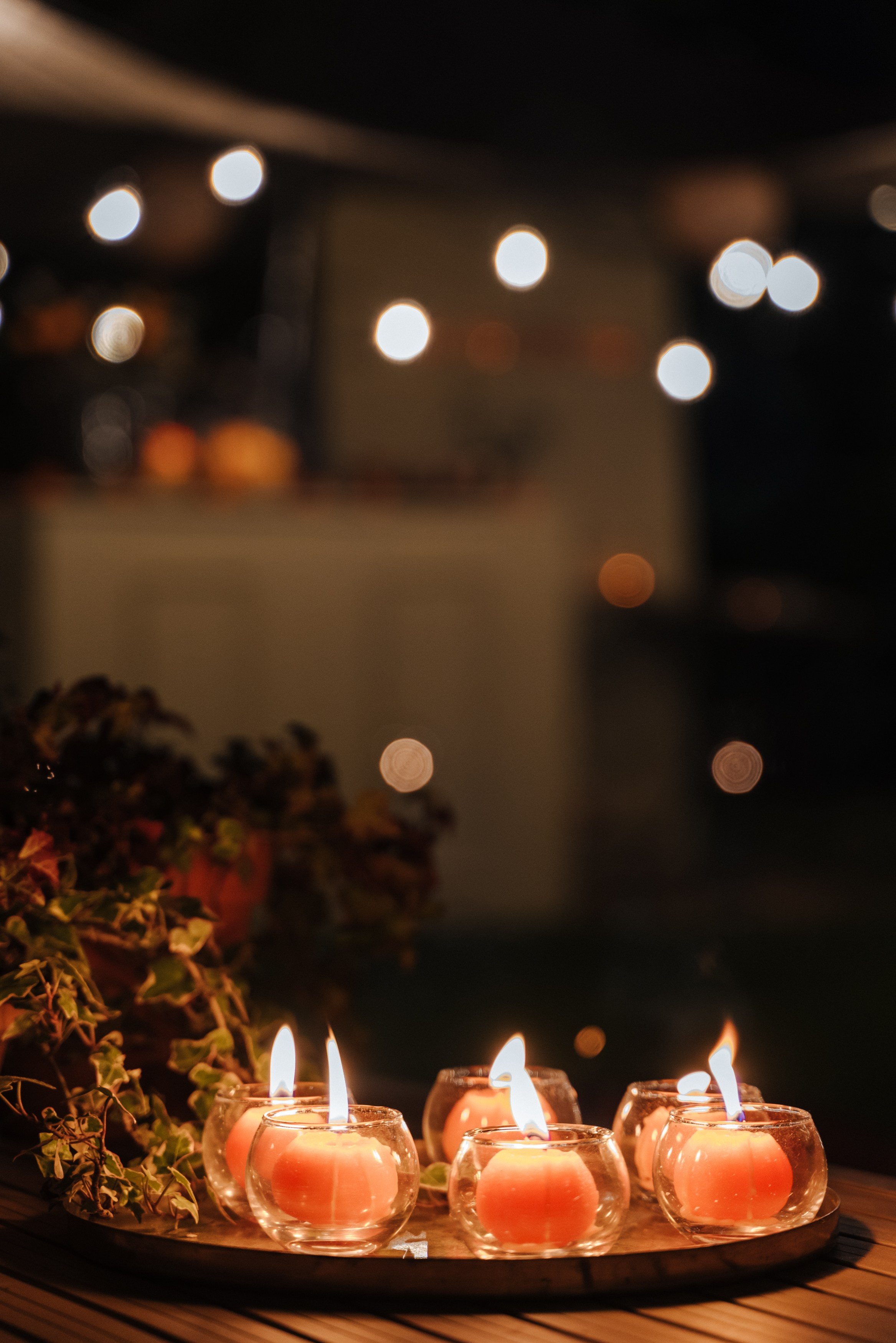 Dawali 2024. Photographer in England Ekaterina Romanova