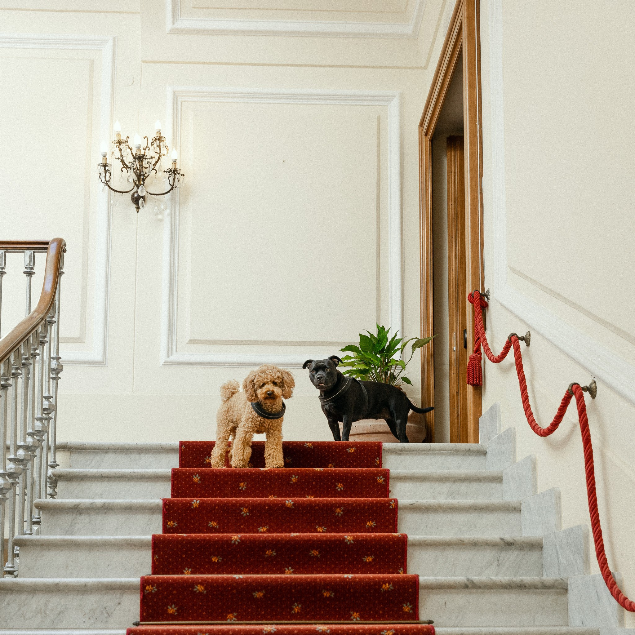 GRAND HOTEL TELESE. Elizaveta Razumova: Cinematic Photography for Love, Weddings, Portraits & Brands