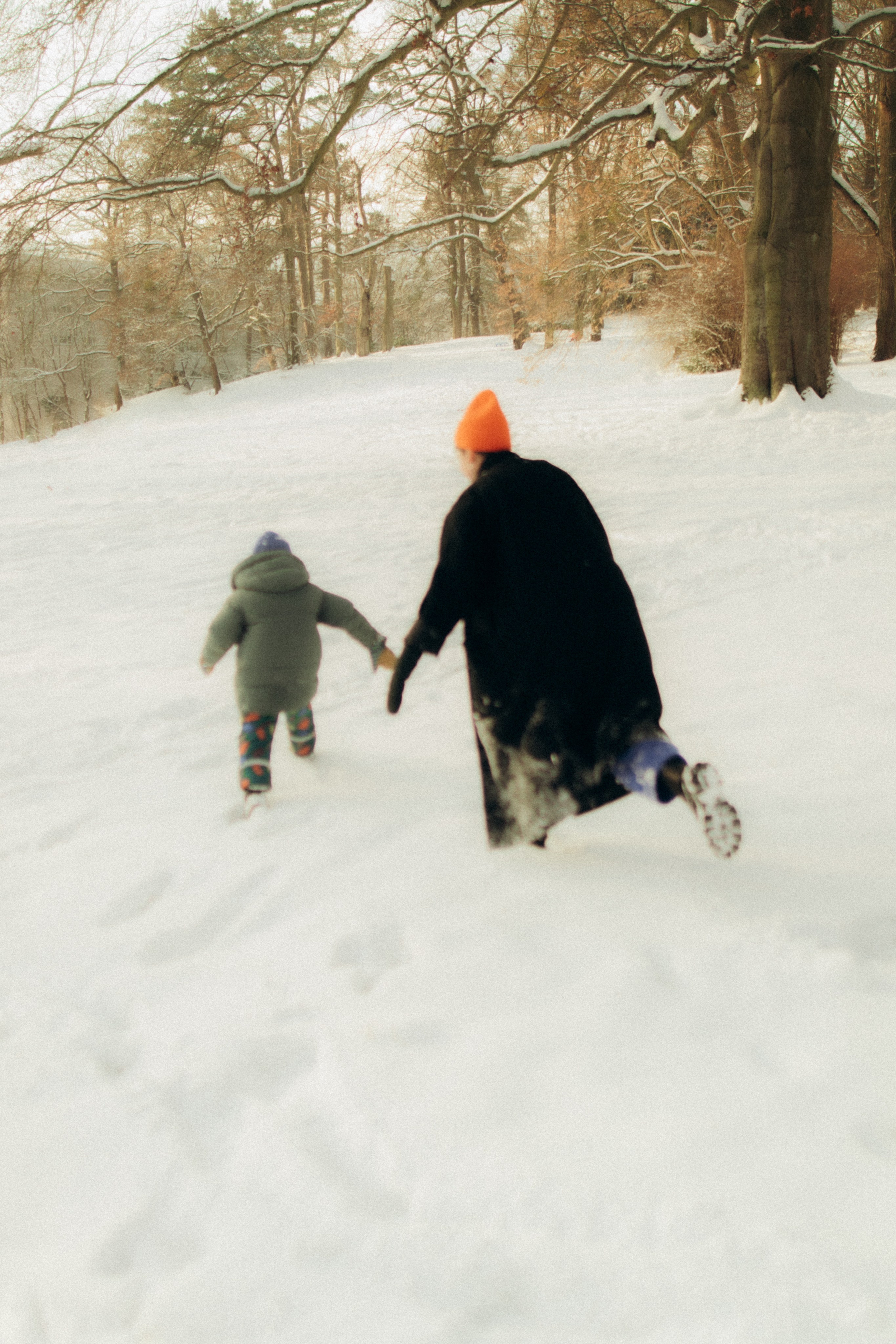 Saranev Family Photographer