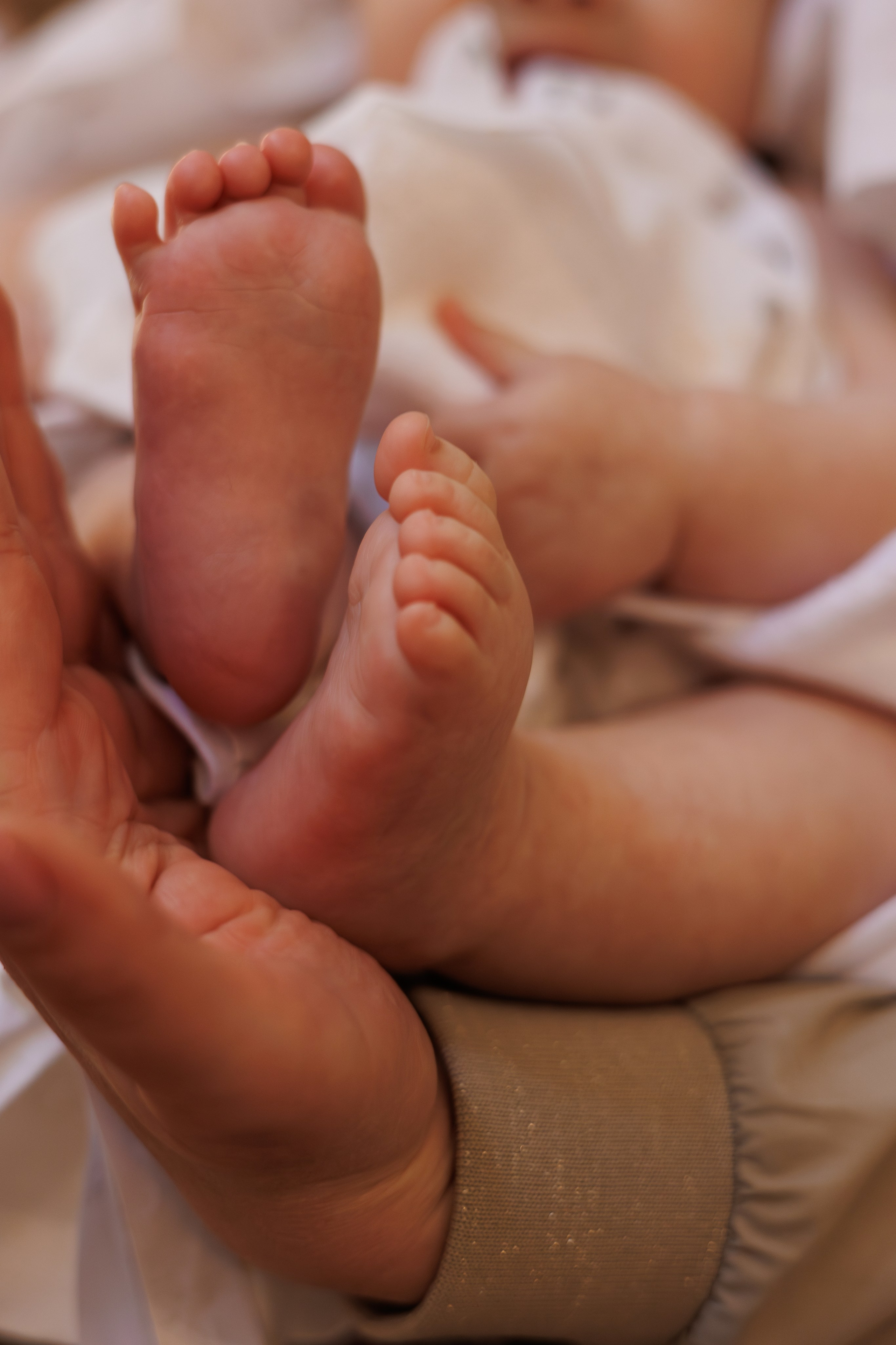 Alice. Photographe en Côte d’Azur