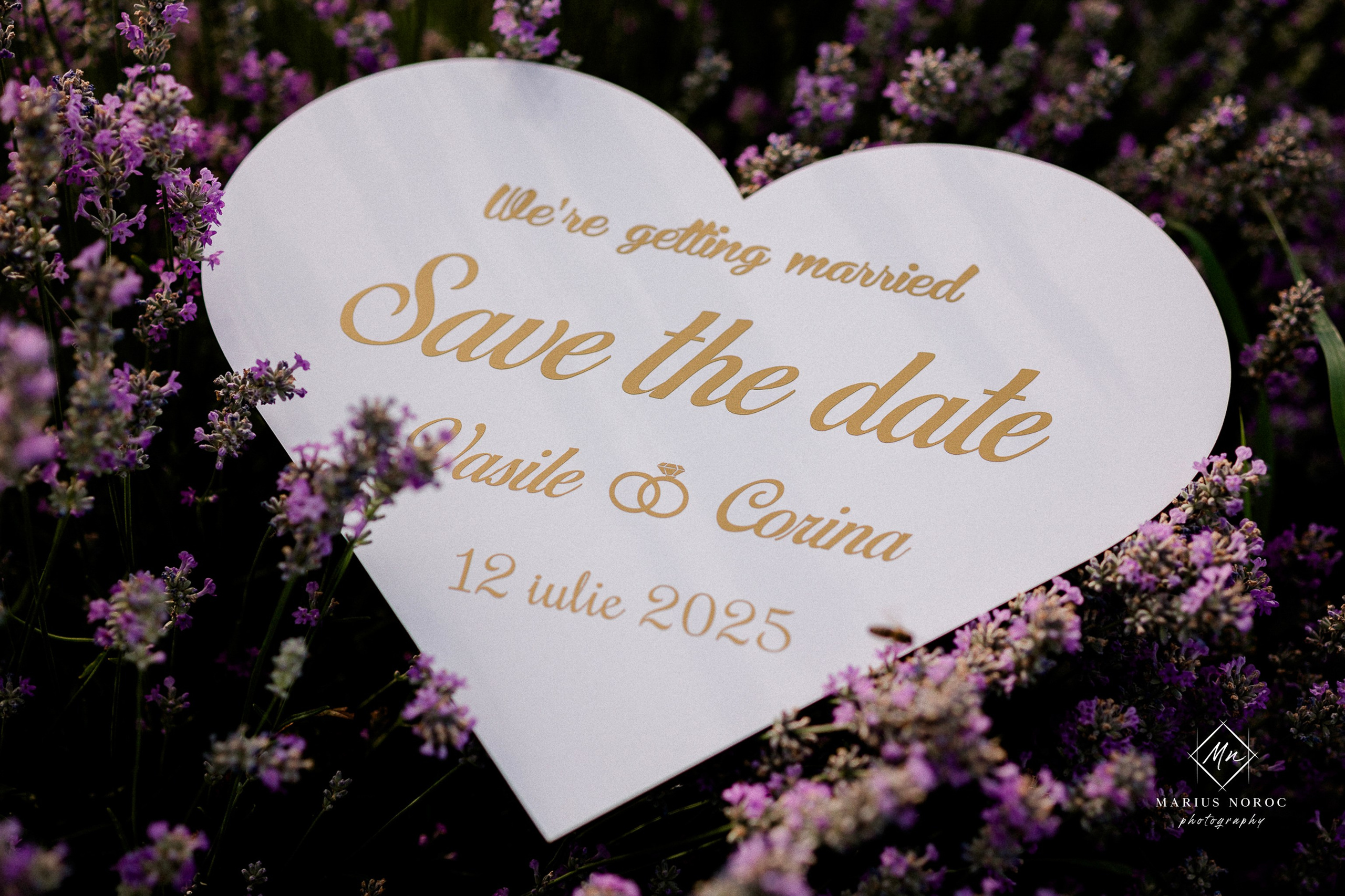 Ședință Foto Save the Date | Corina & Vasi | Ipotesti Lavender Farm