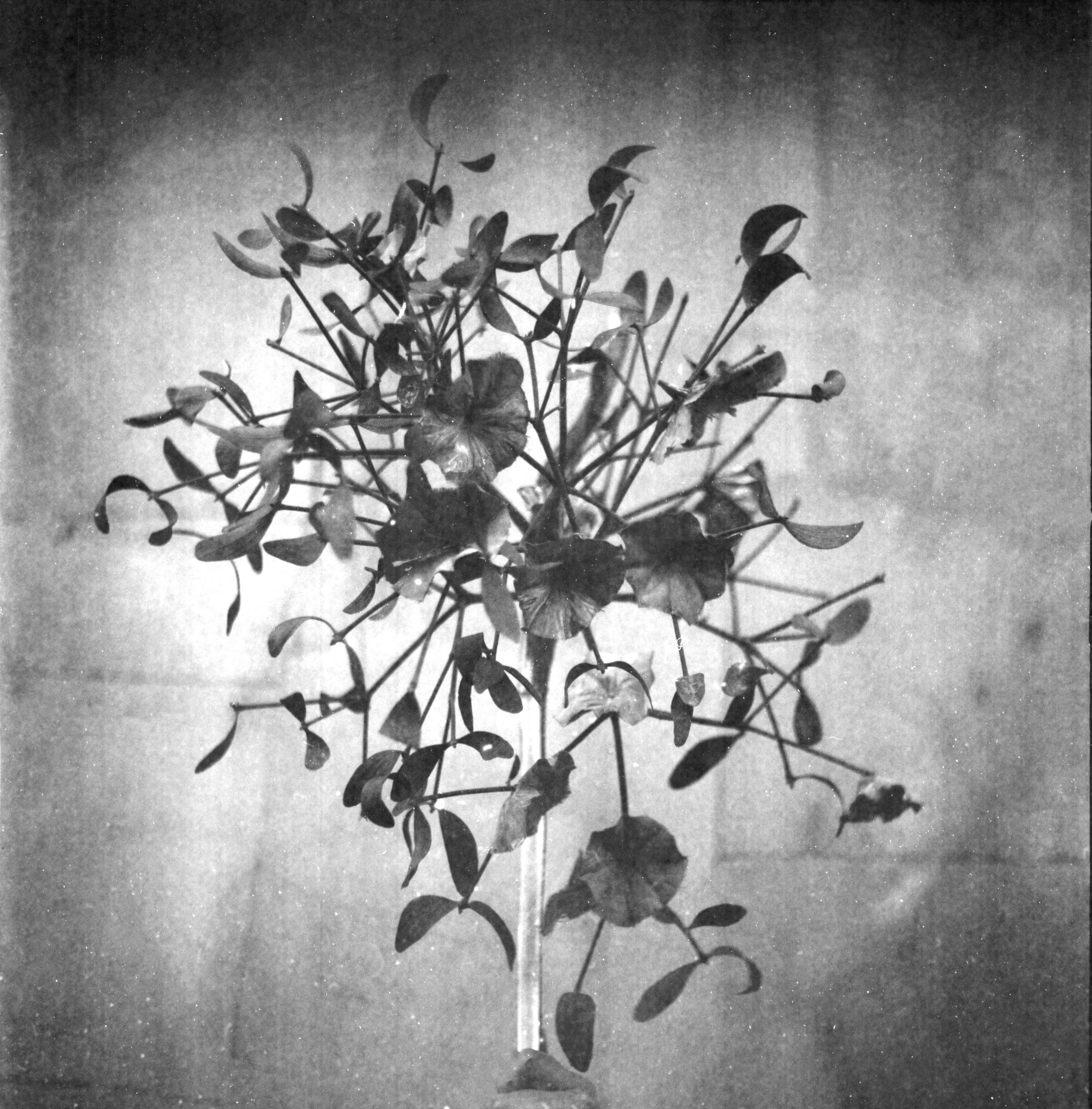 When it is day for angels in heaven, it is night for people on earth. Natalia Parfenova visual artist film photographer