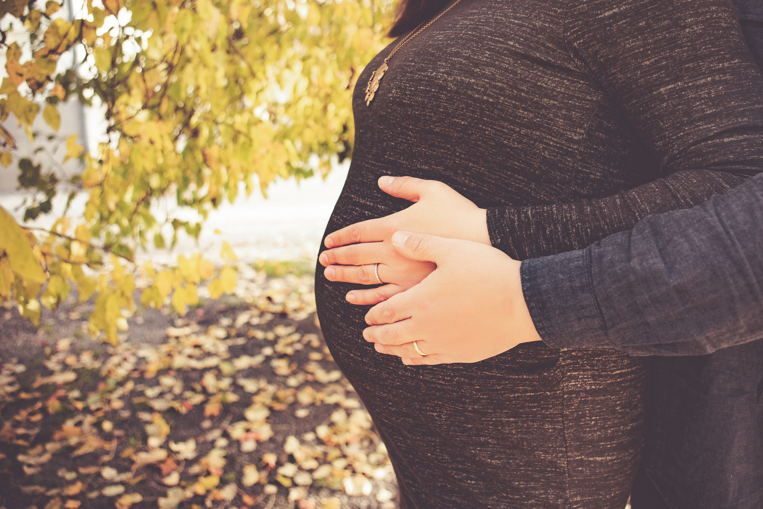 Odotus. Senjakulmala.fi