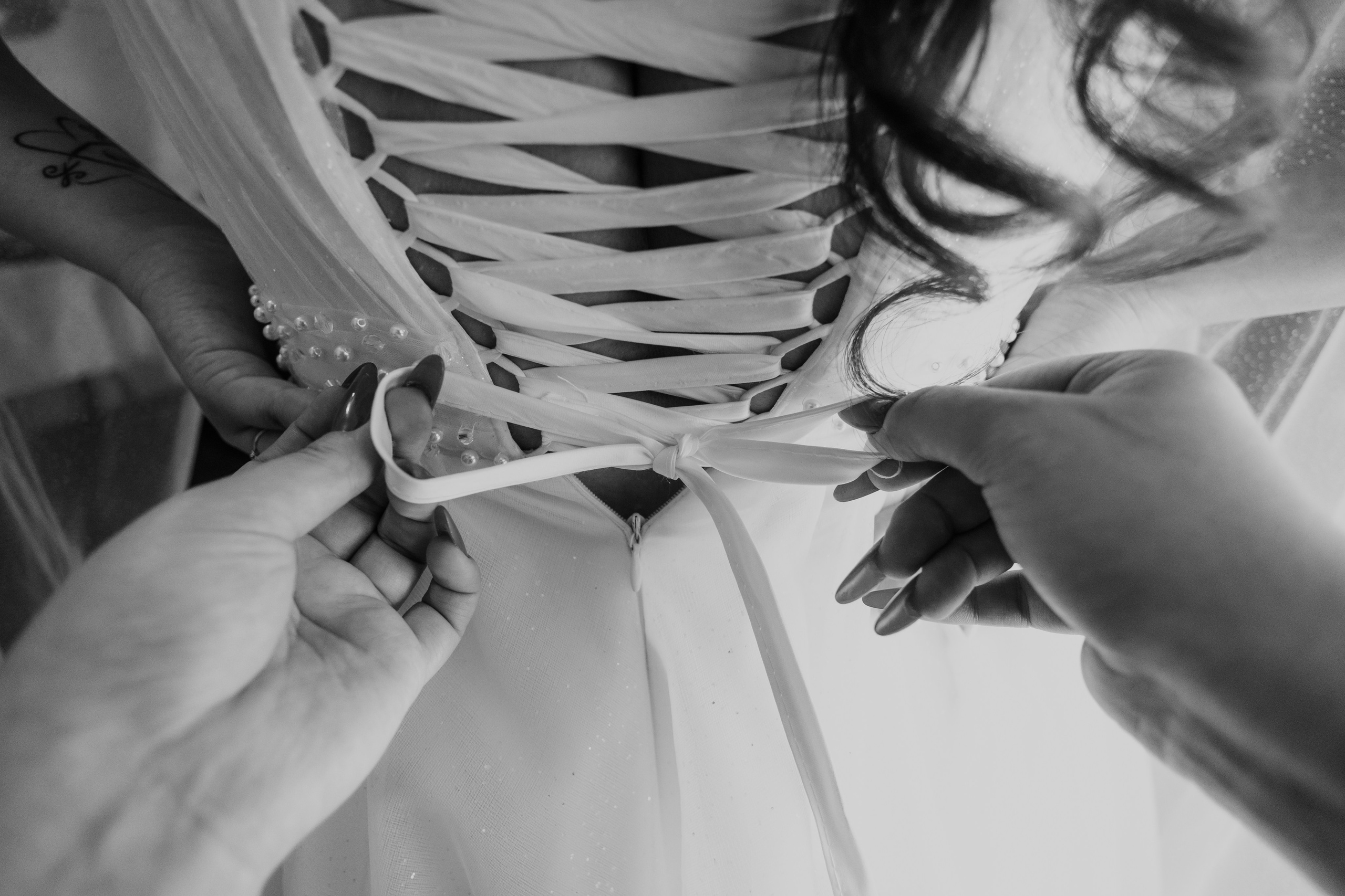 D&M. George Laslău Fotograf