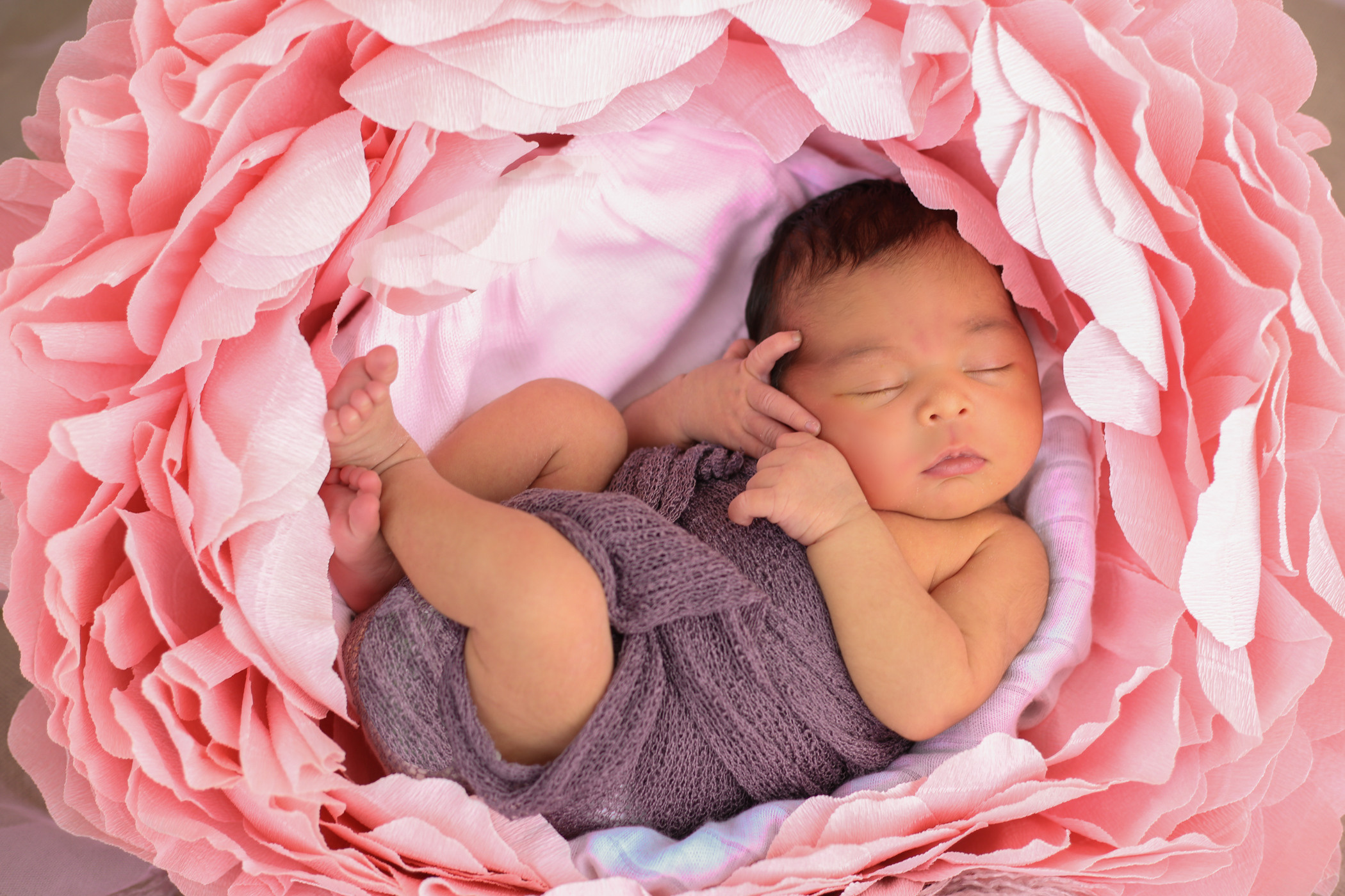 Amira Newborn. Fotógrafo en Mataró, Eugenia Shikhina