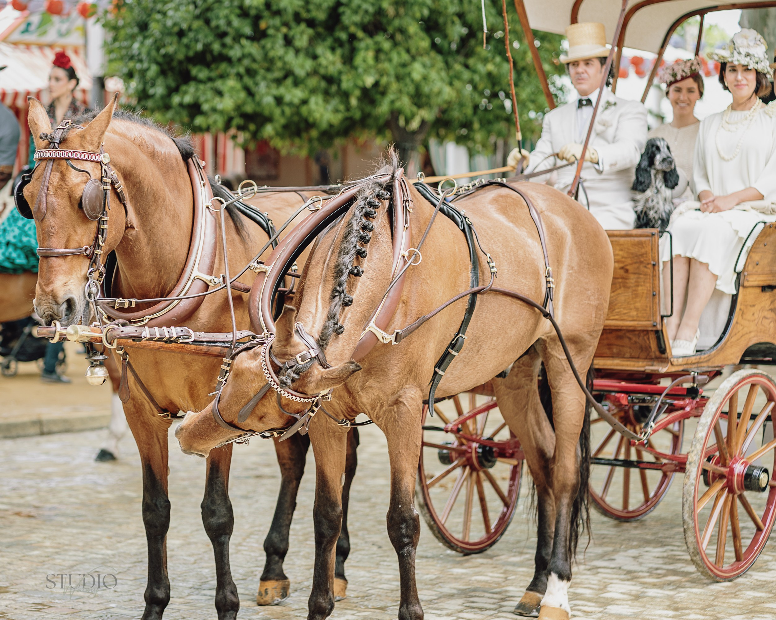 Sesión de fotos en feria de Abril de Sevilla. Inicio