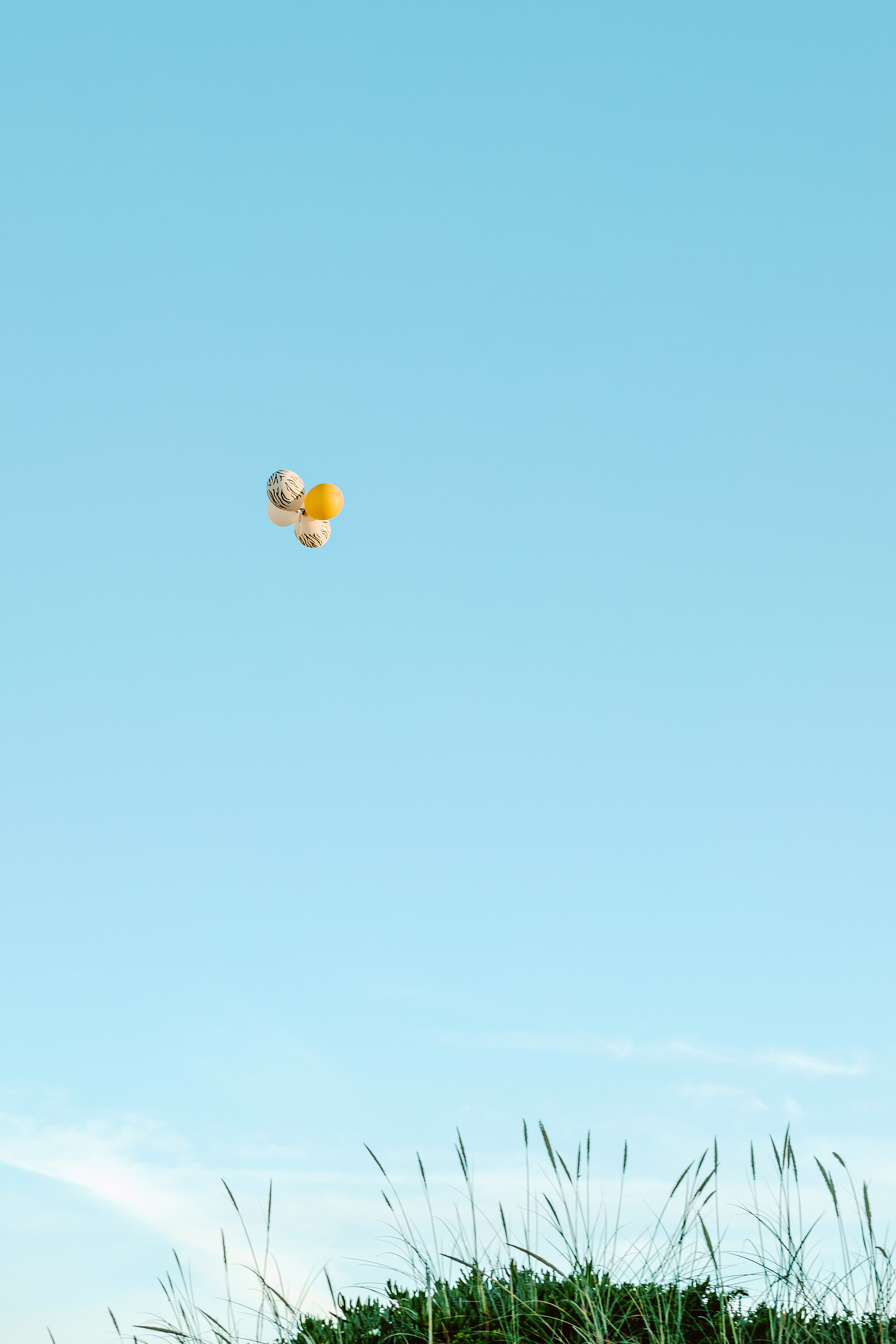 4º Aniversário Modartt. Luxury Wedding Photography & Cinematic Films | Portugal & Destination Weddings | Ricardo & Mary Pictures