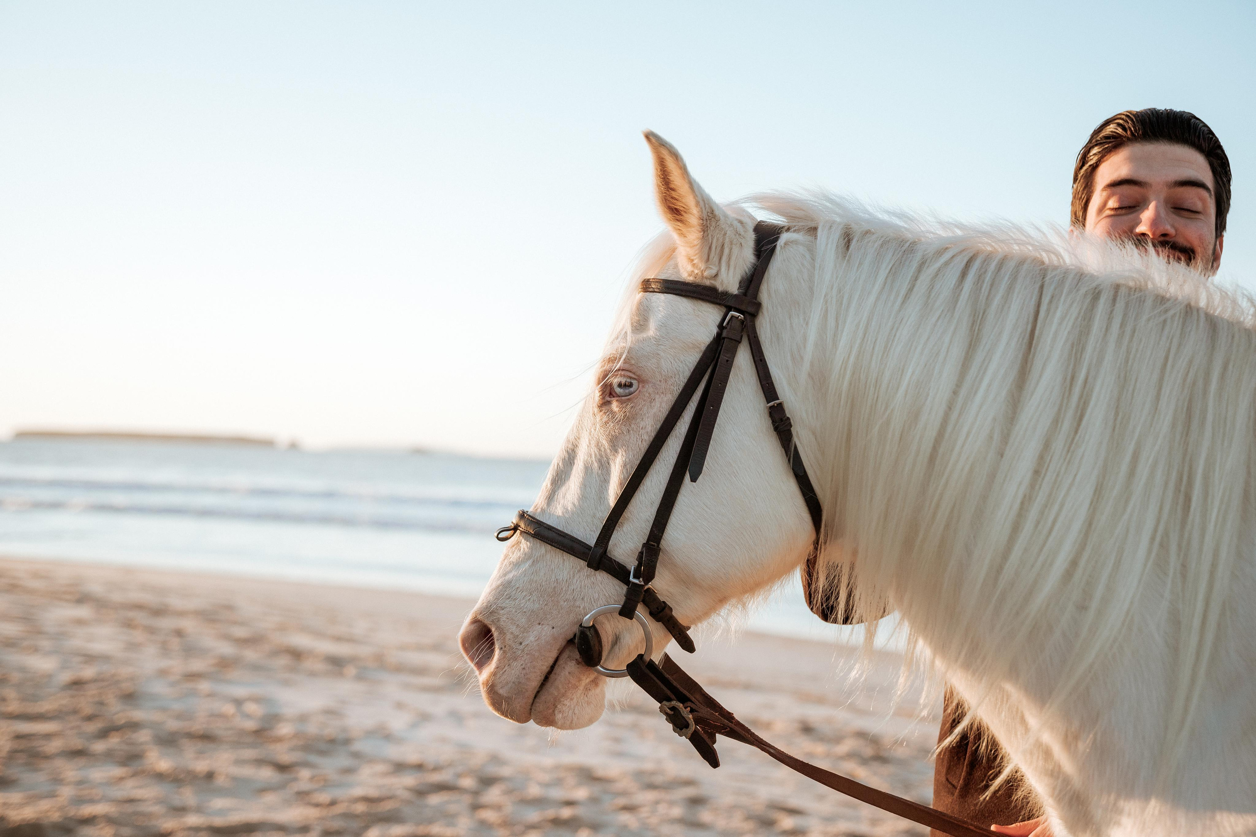 Photo session on horseback at Praia da Almagreira. Luxury Wedding Photography & Cinematic Films | Portugal & Destination Weddings | Ricardo & Mary Pictures