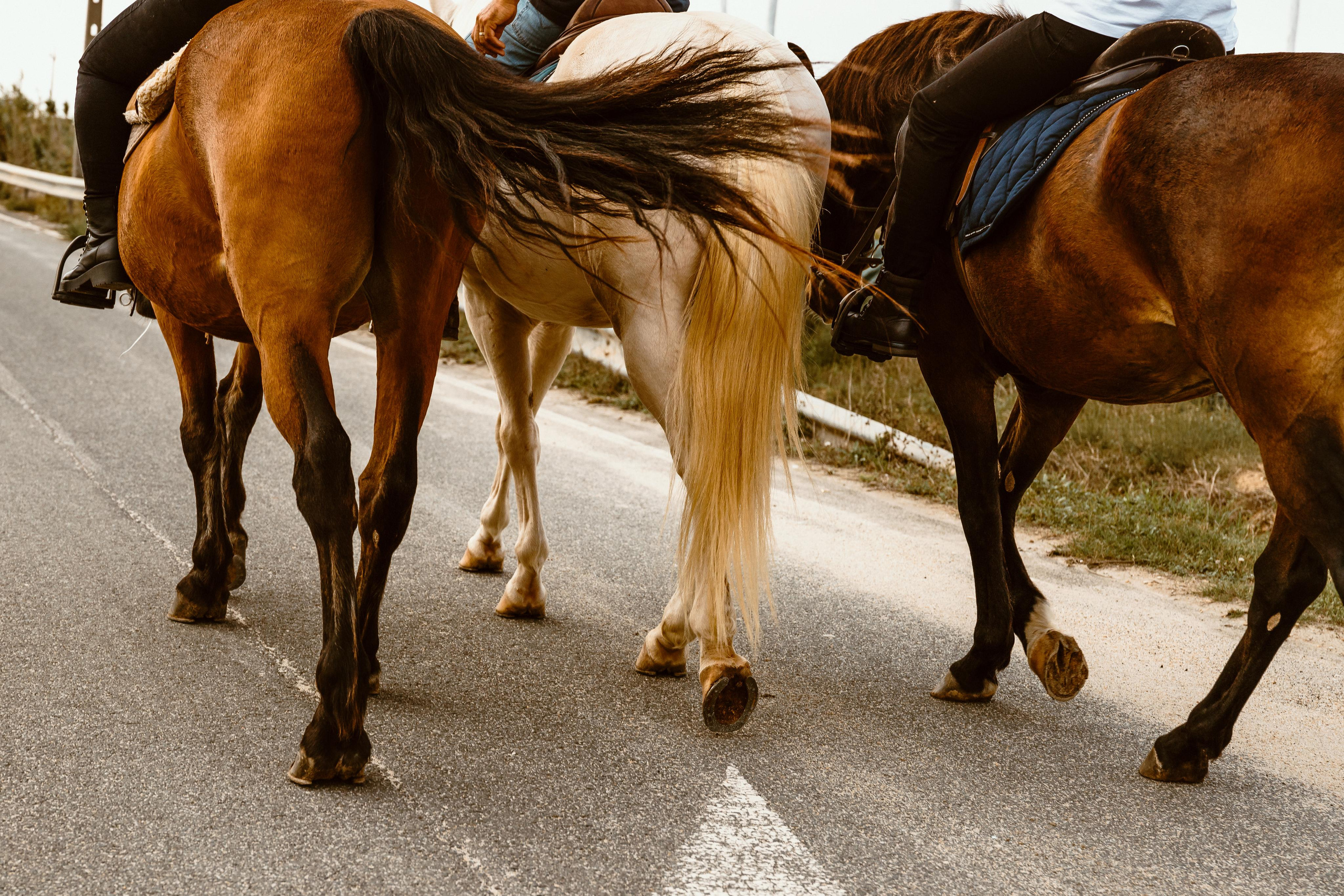 Momento a Dois em Peniche. Luxury Wedding Photography & Cinematic Films | Portugal & Destination Weddings | Ricardo & Mary Pictures